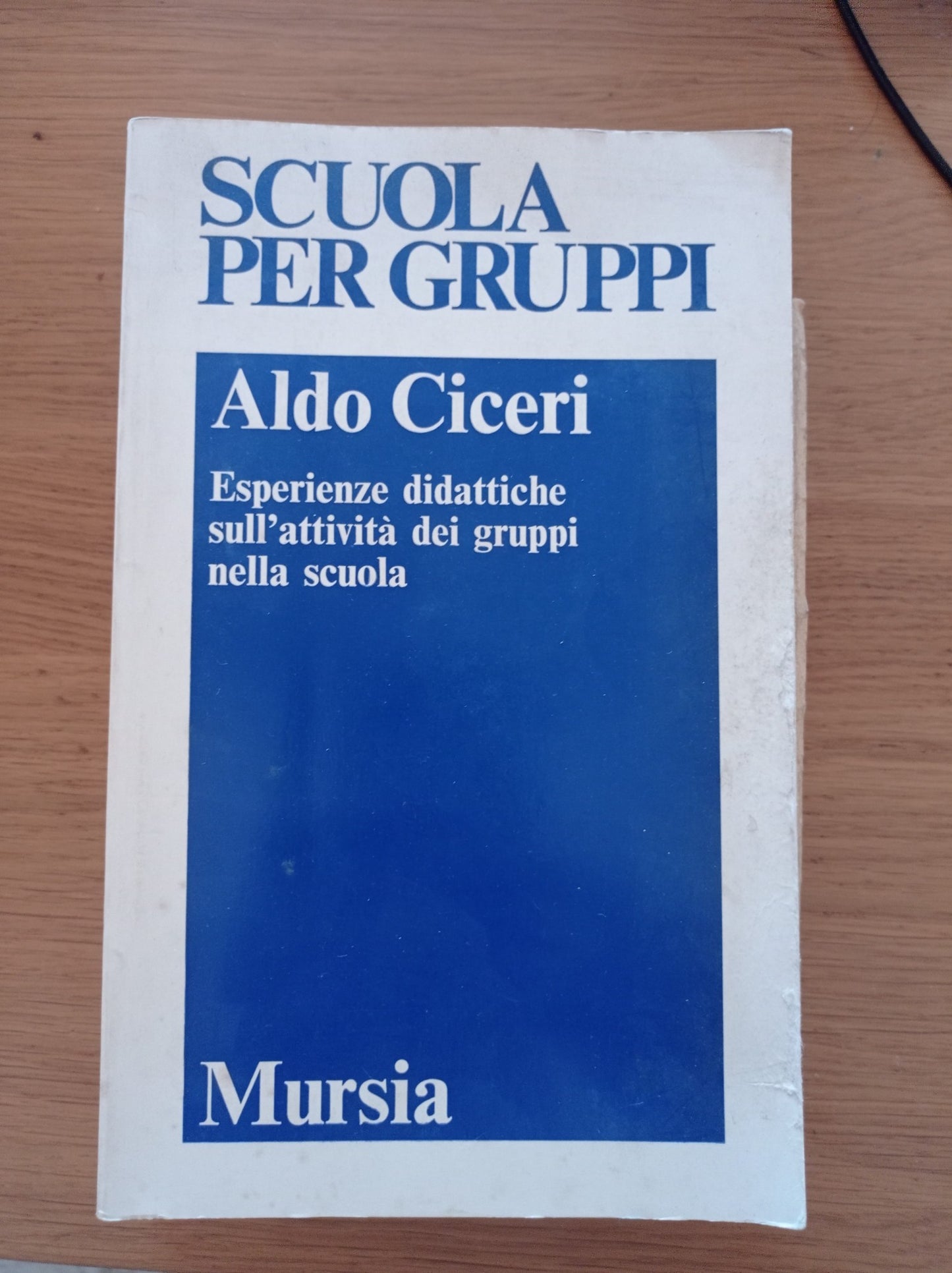 Esperienze didattiche sull'attività dei gruppi nella scuola - copertina