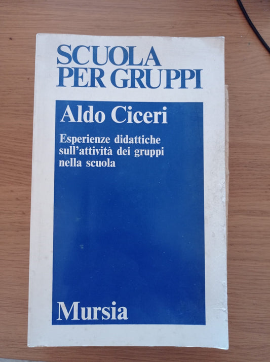 Esperienze didattiche sull'attività dei gruppi nella scuola - copertina