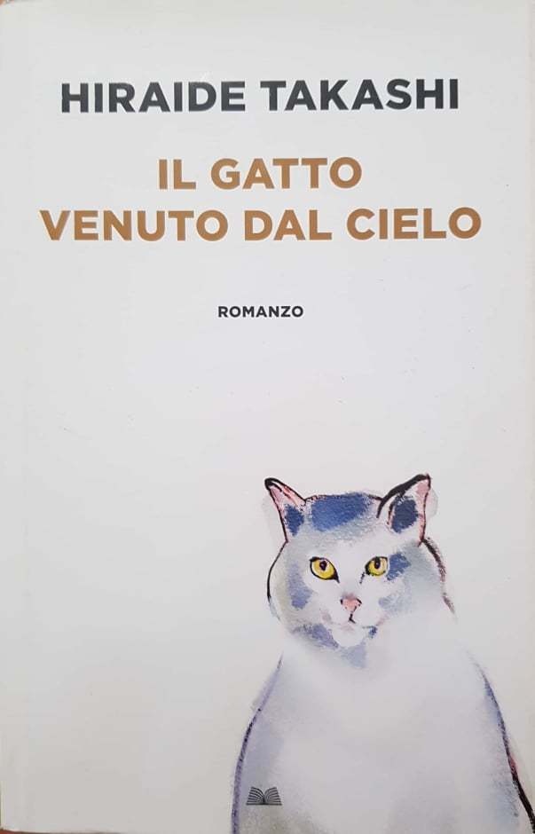 il gatto venuto dal cielo - copertina