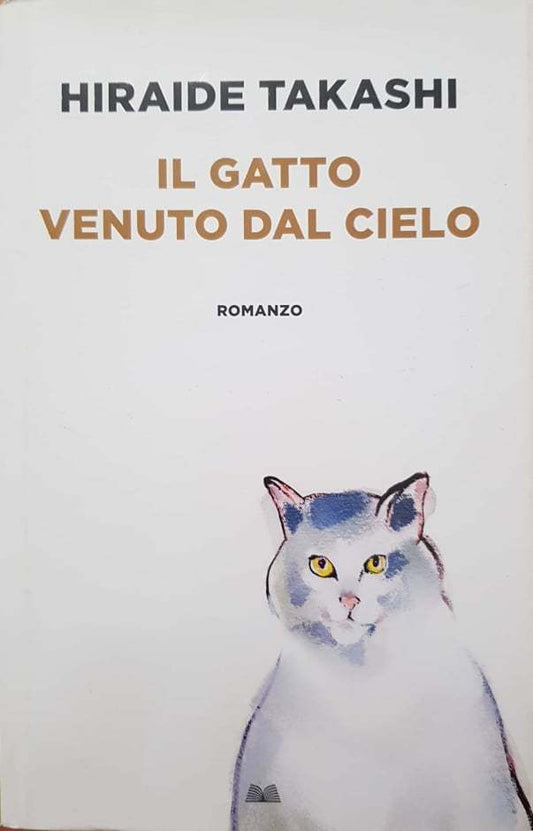 il gatto venuto dal cielo - copertina