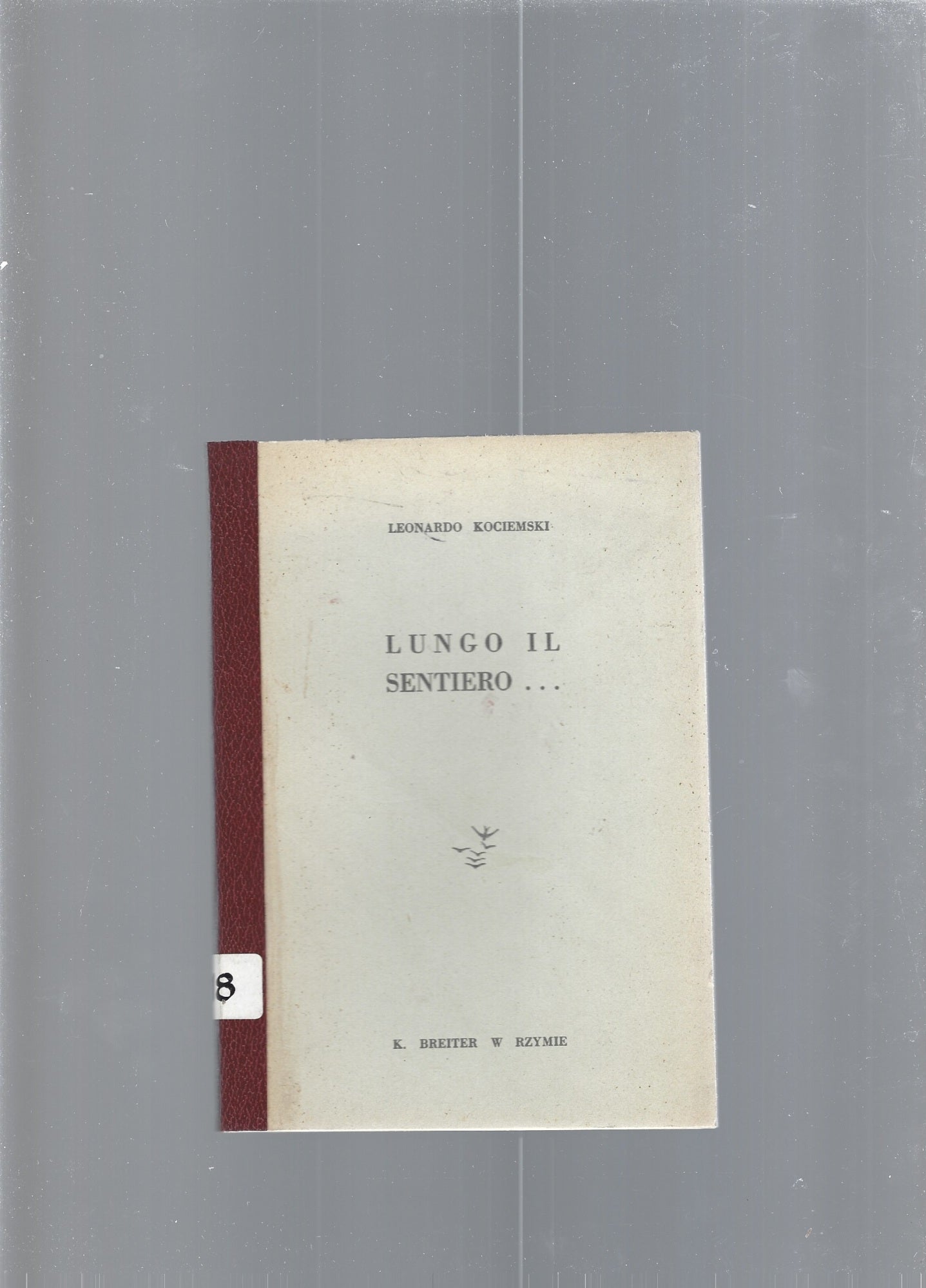 Lungo il sentiero... - copertina