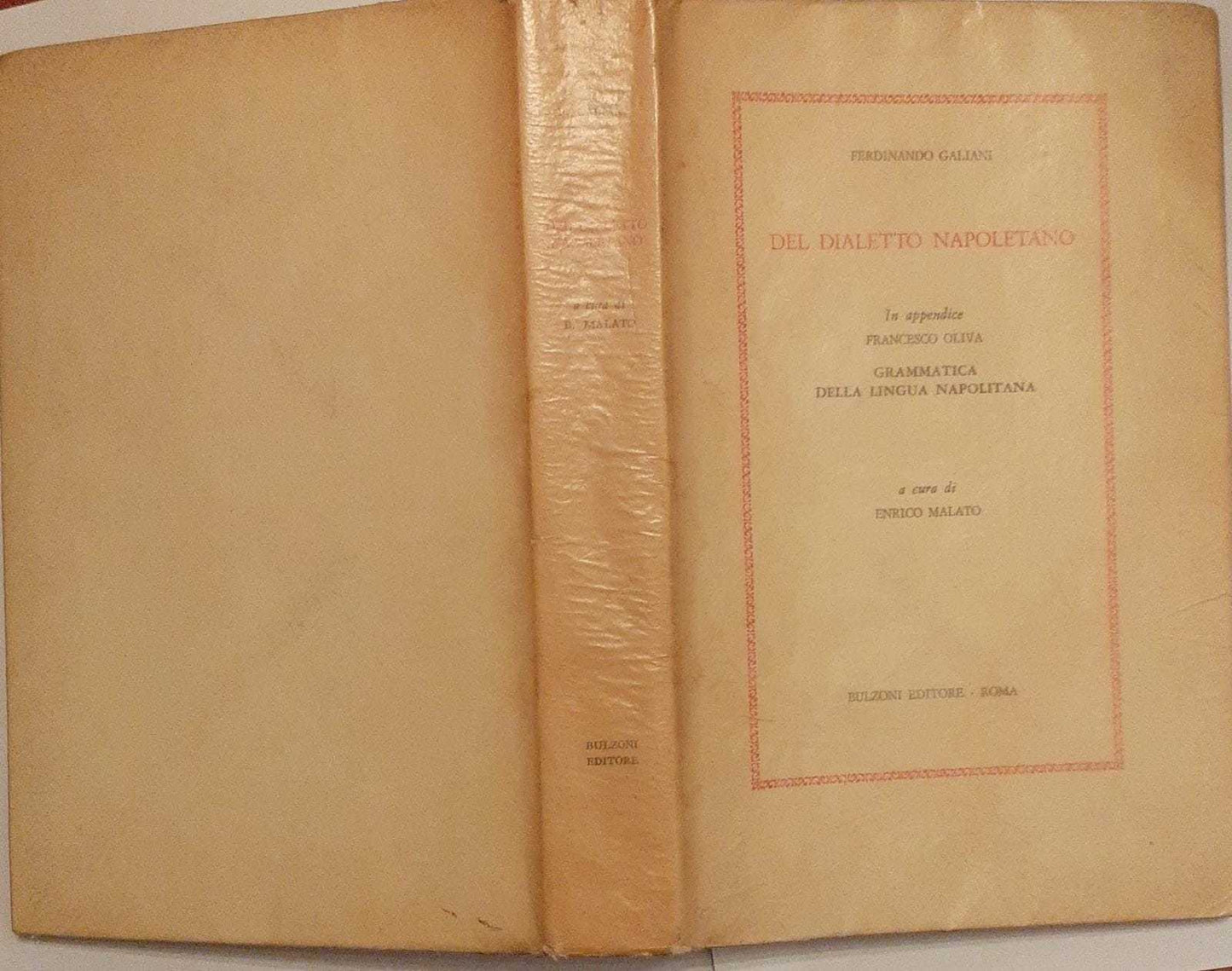 Del dialetto napoletano. Grammatica della lingua napolitana - copertina