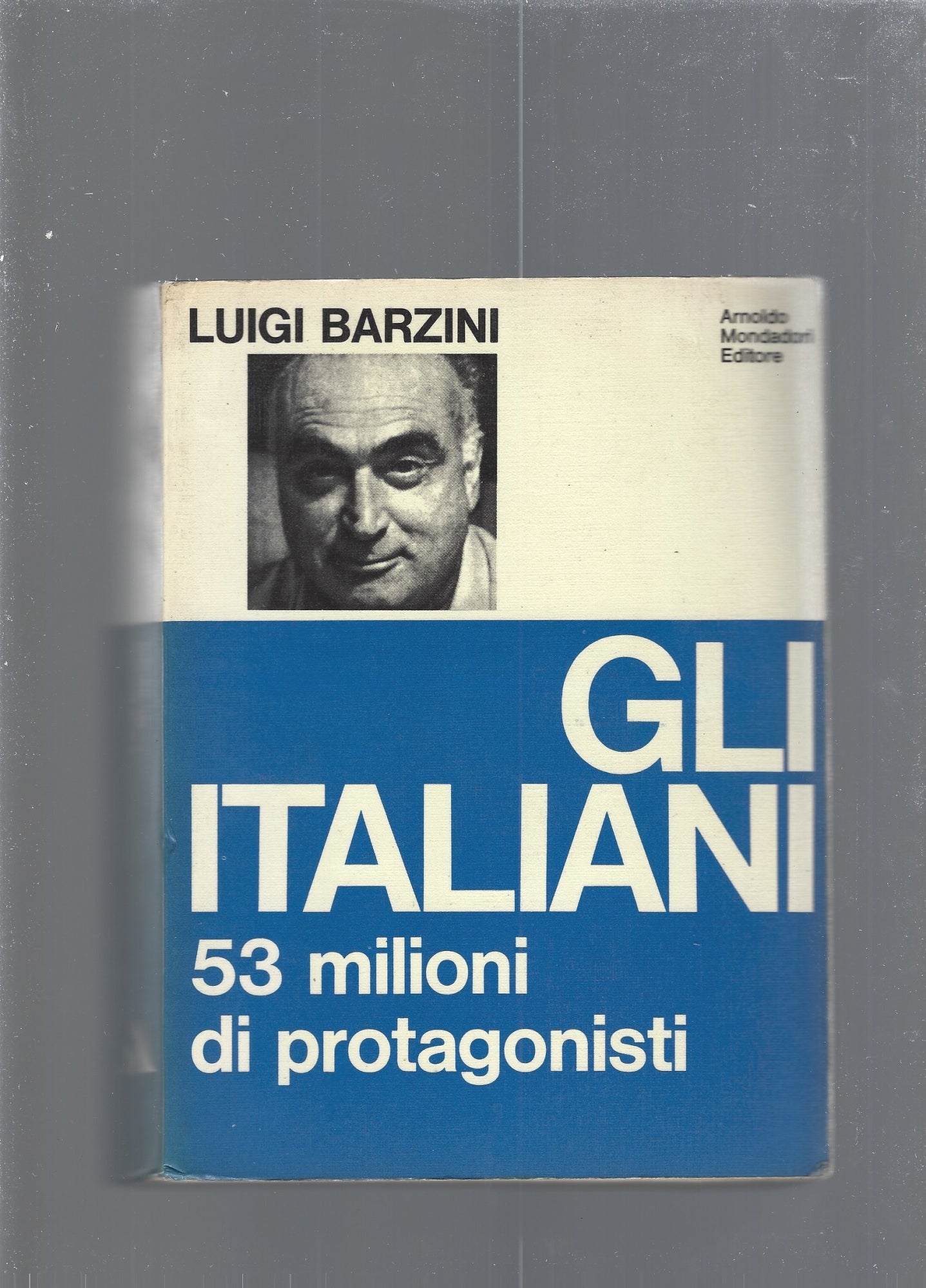 Gli italiani  53 milioni di protagonisti - copertina