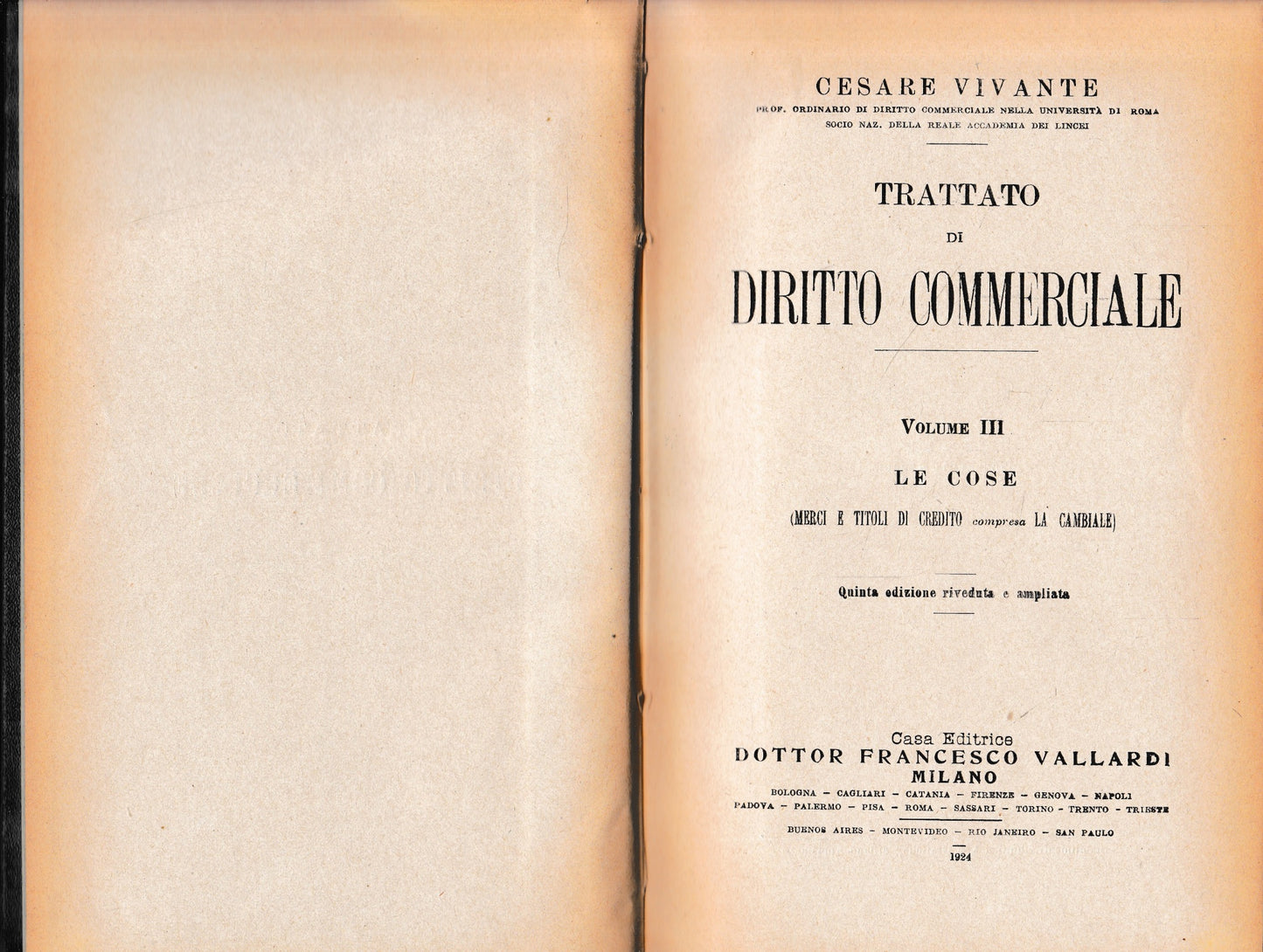 Trattato di Diritto Commerciale, vol. III: le cose - copertina