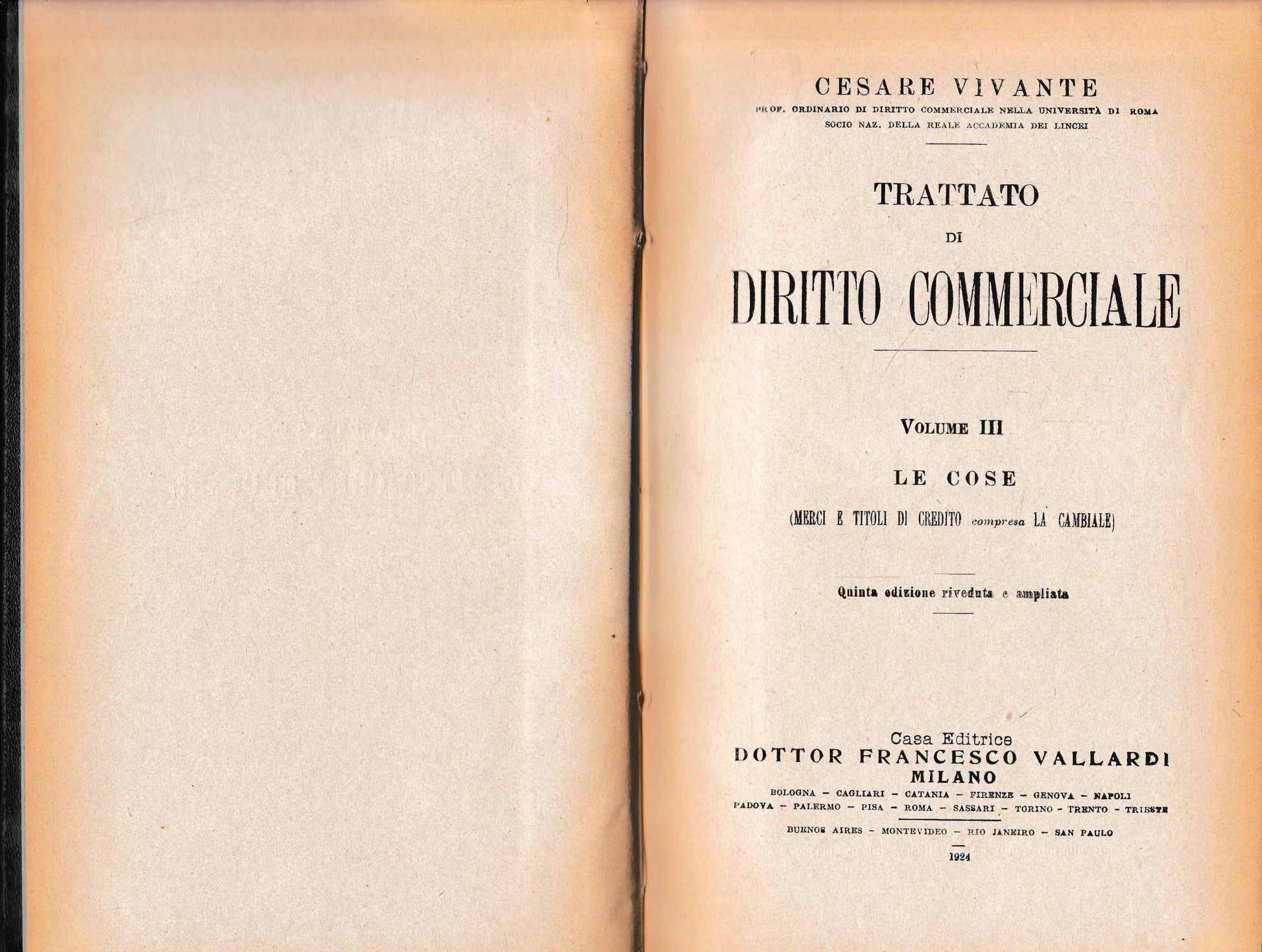 Trattato di Diritto Commerciale, vol. III: le cose - copertina