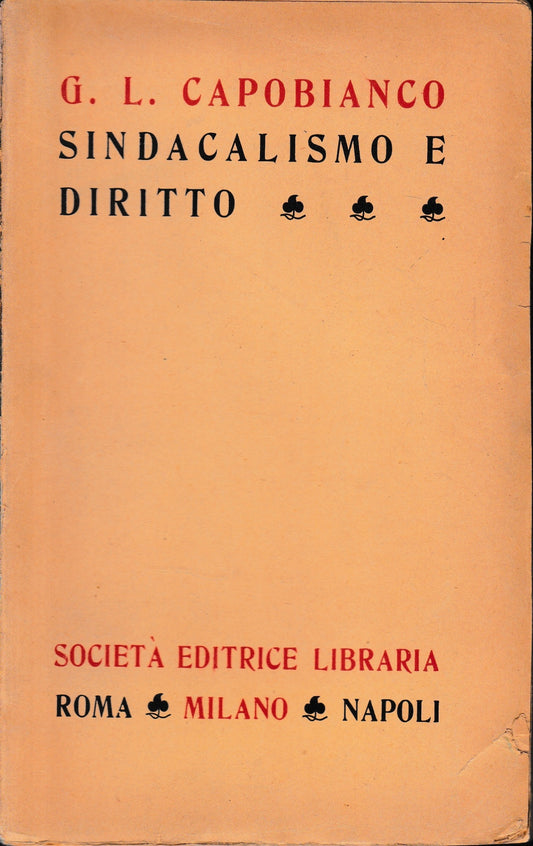 Sindacalismo e diritto - copertina