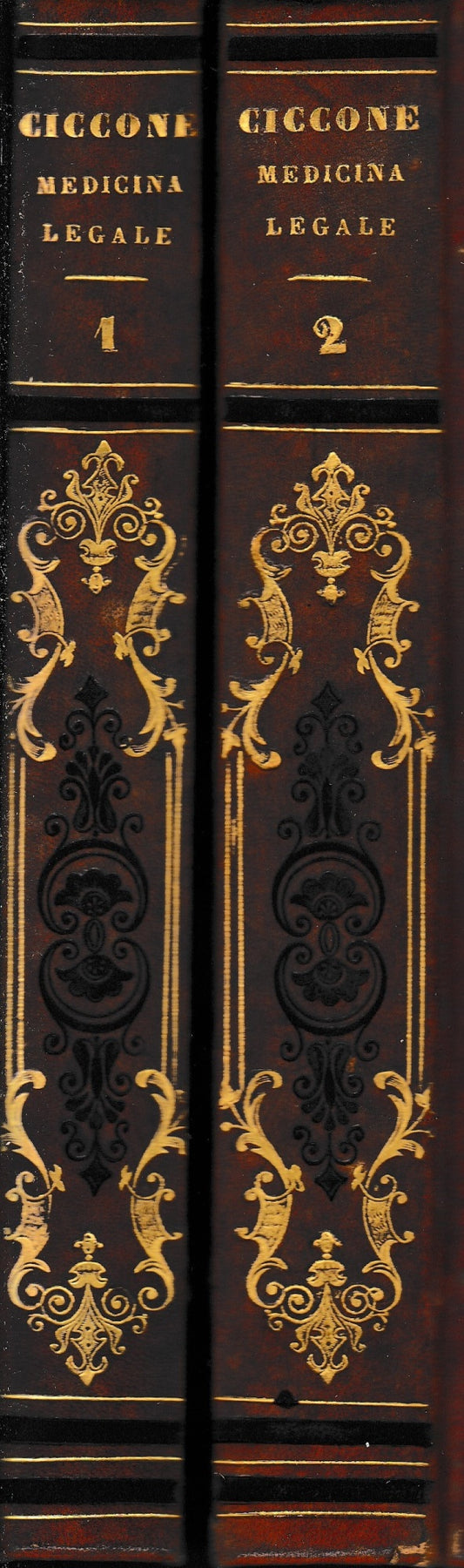 Questioni di Medicina Forense, secondo lo spirito del codice delle leggi del Regno delle due Sicilie, due volumi. - copertina