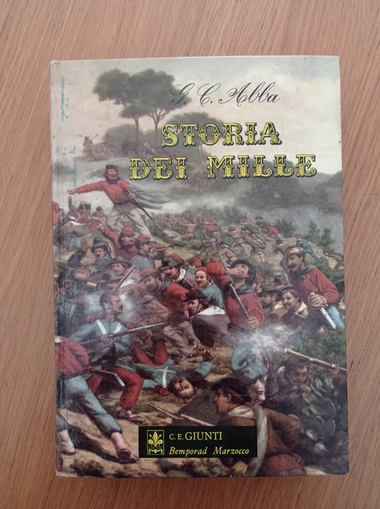 Storia dei Mille - copertina