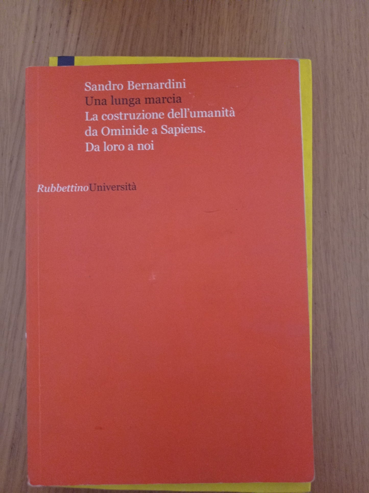 Una lunga marcia. La costruzione dell\'umanità da ominide a sapiens. Da loro a noi - copertina