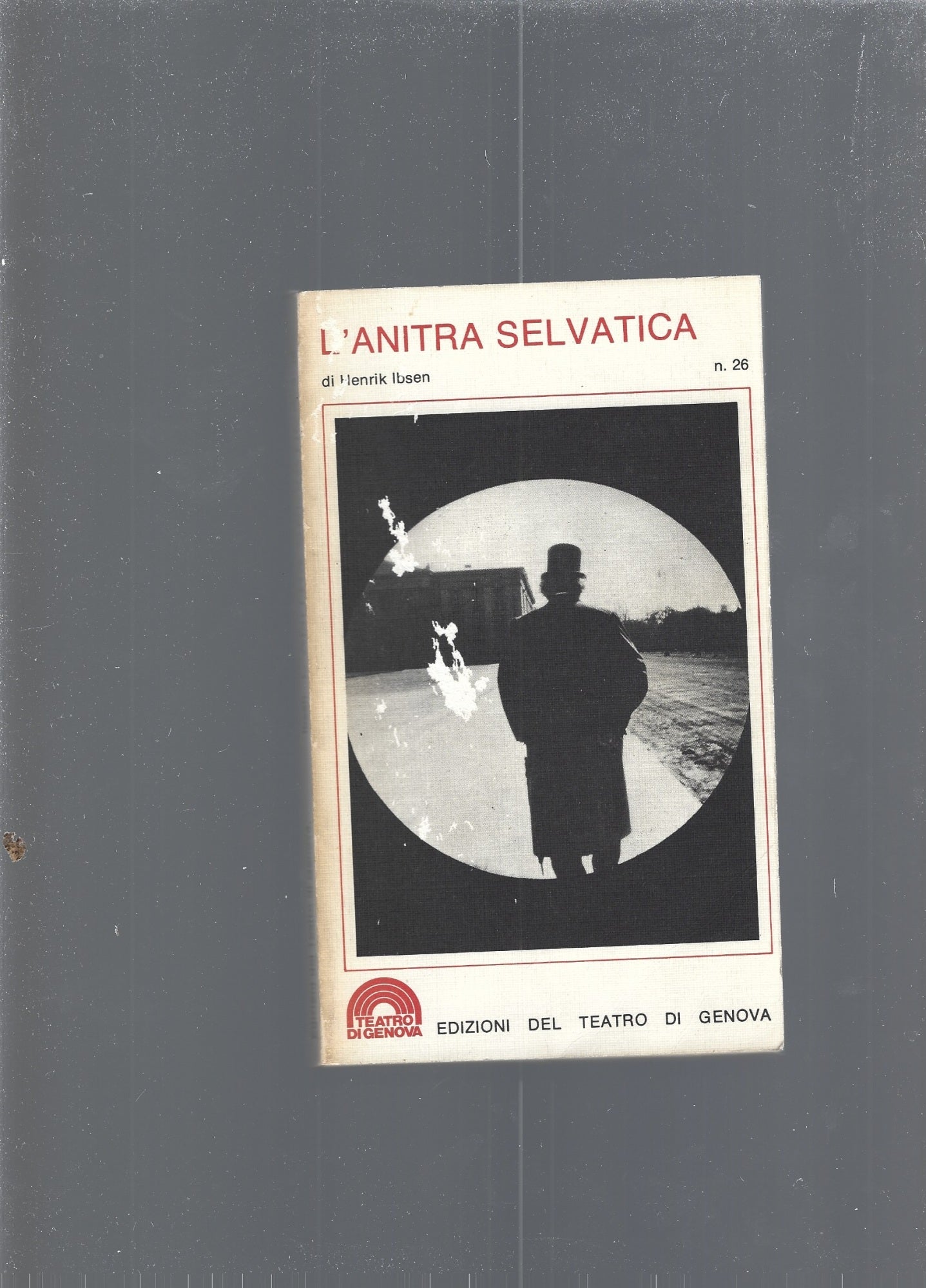 L'anitra selvatica - copertina