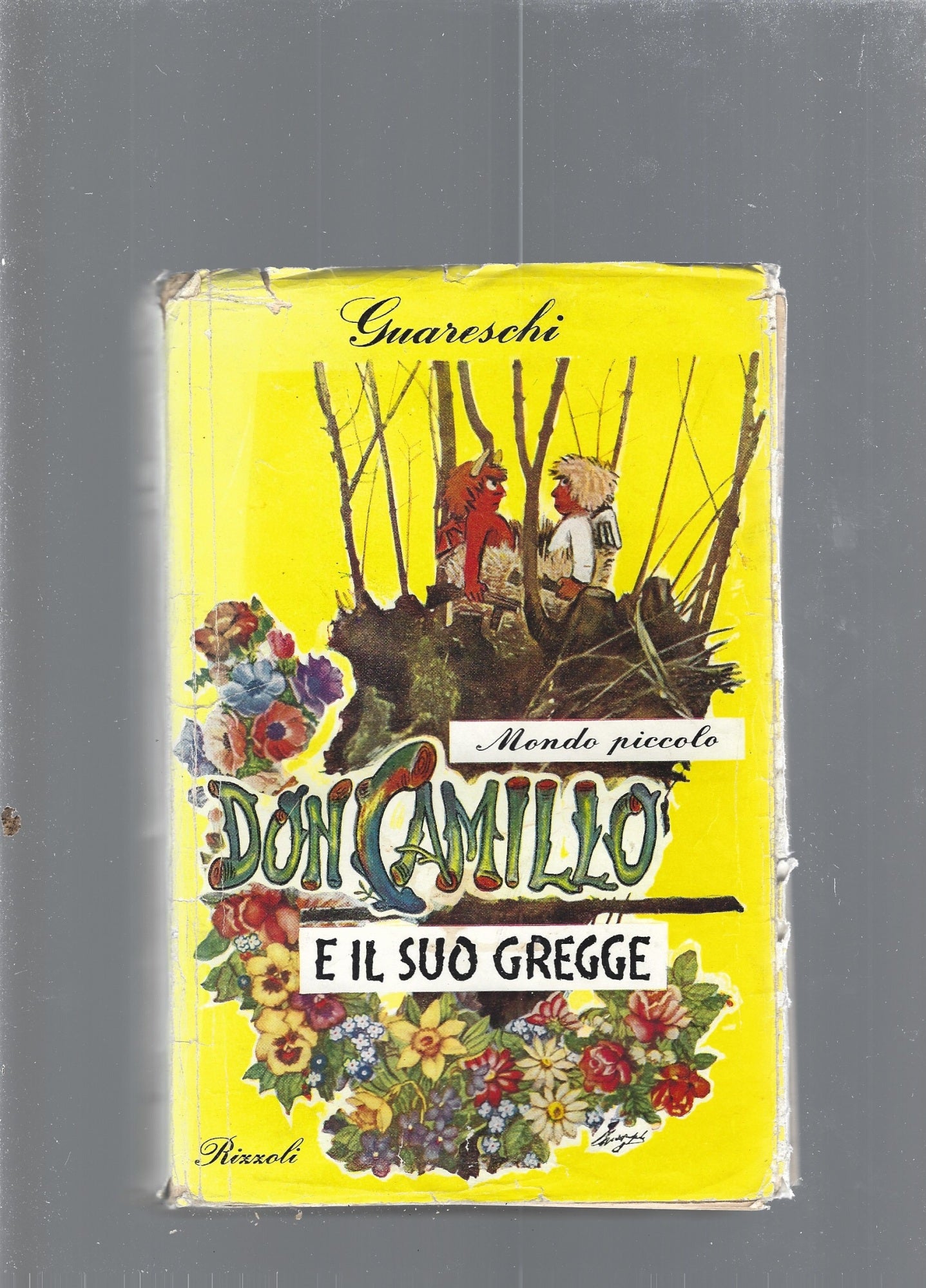 Mondo piccolo - copertina