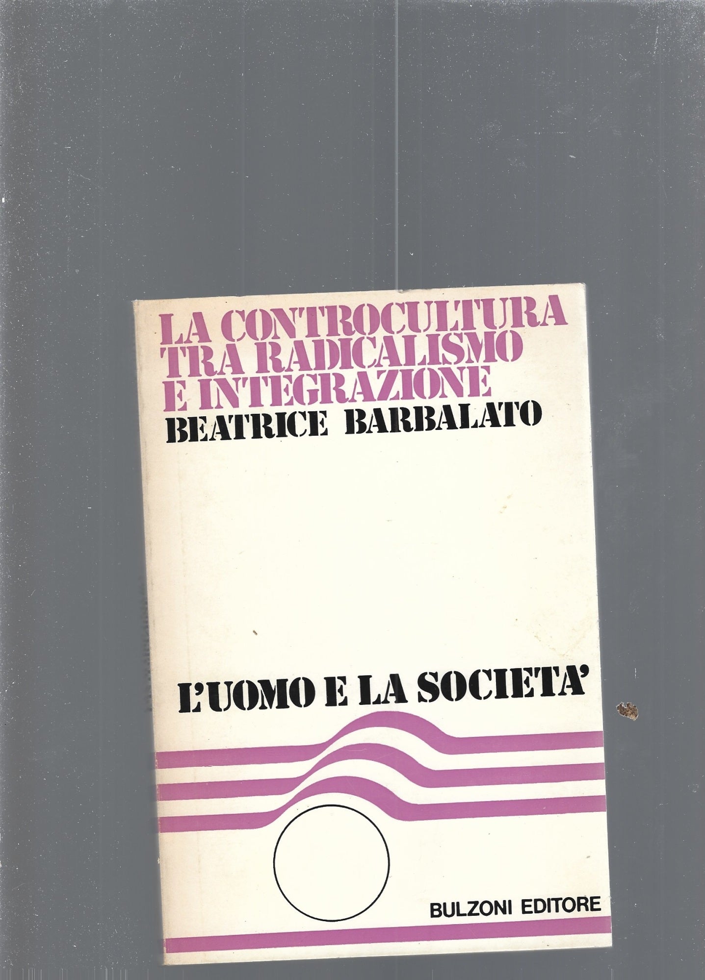 La controcultura tra radicalismoe integrazione - copertina
