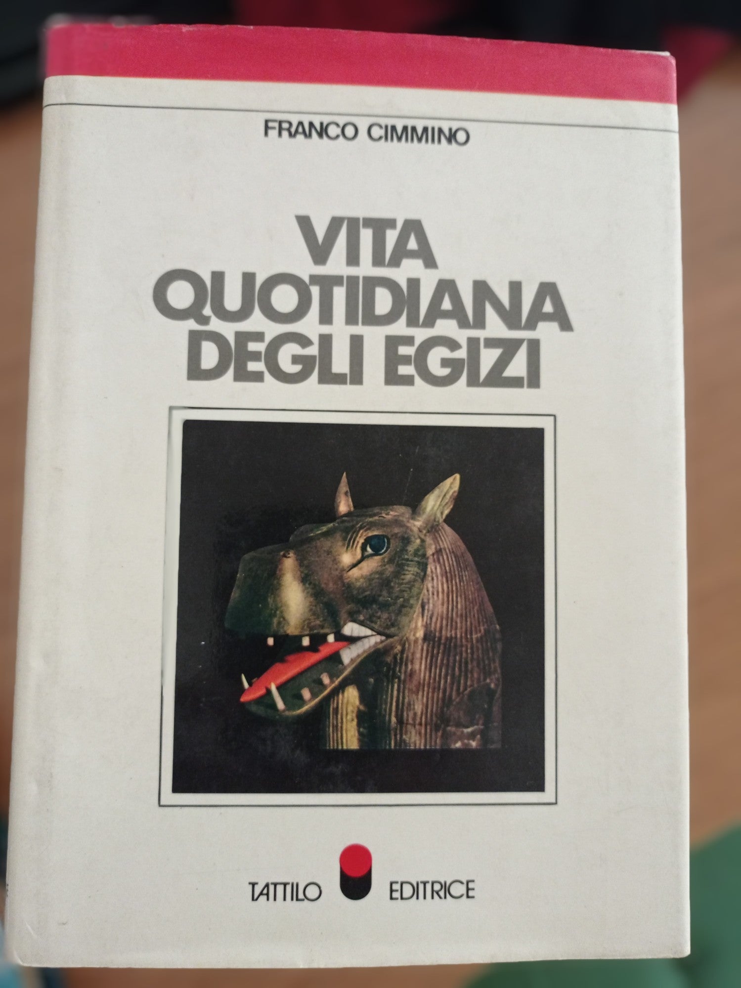Vita quotidiana degli Egizi - copertina