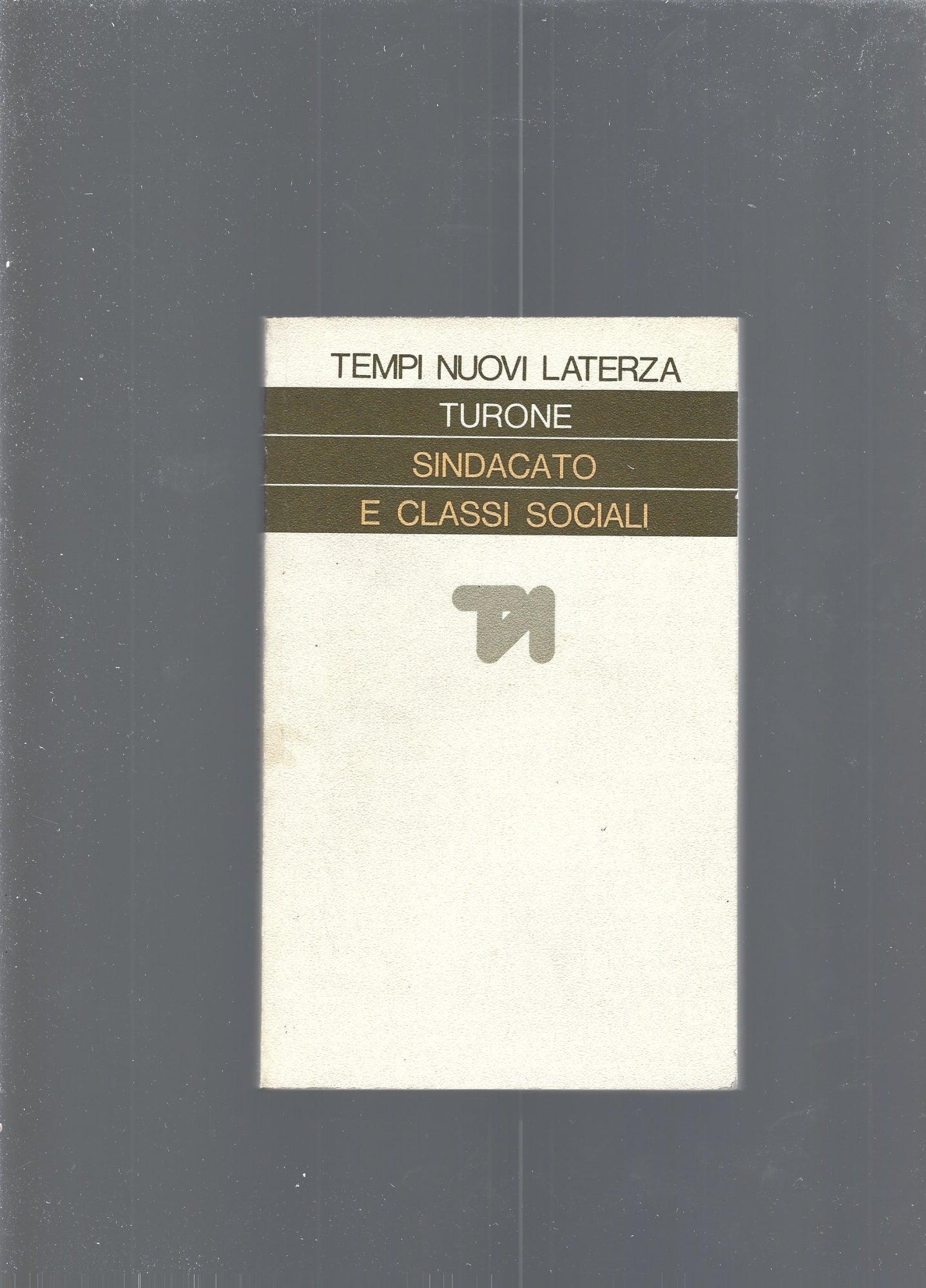 Sindacato e classi sociali - copertina