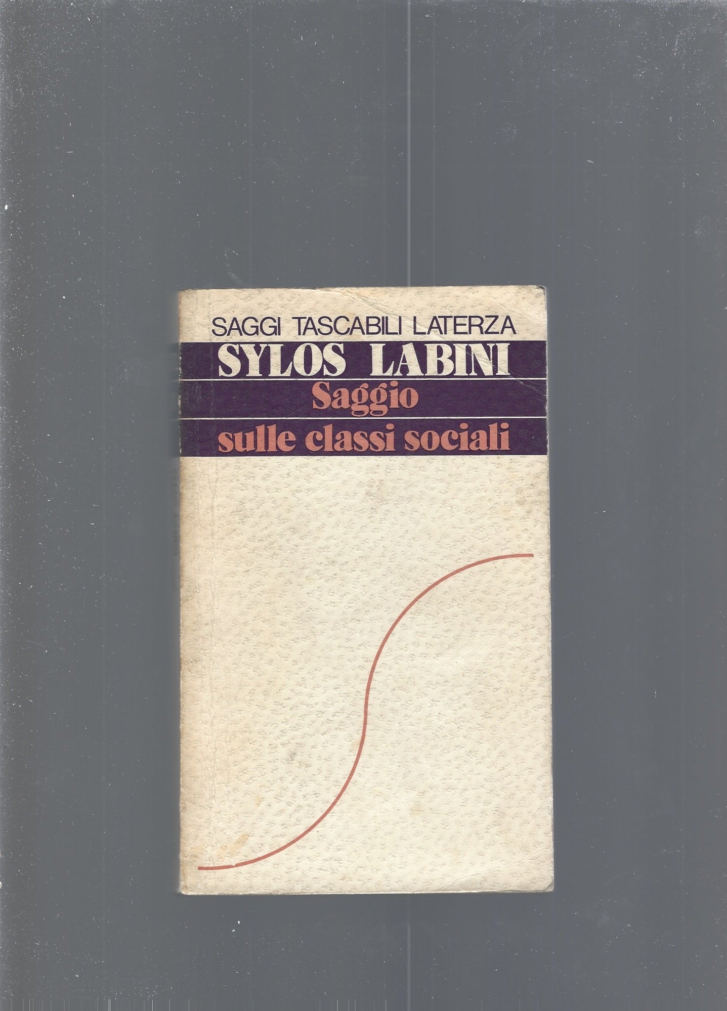 Saggio sulle classi sociali - copertina