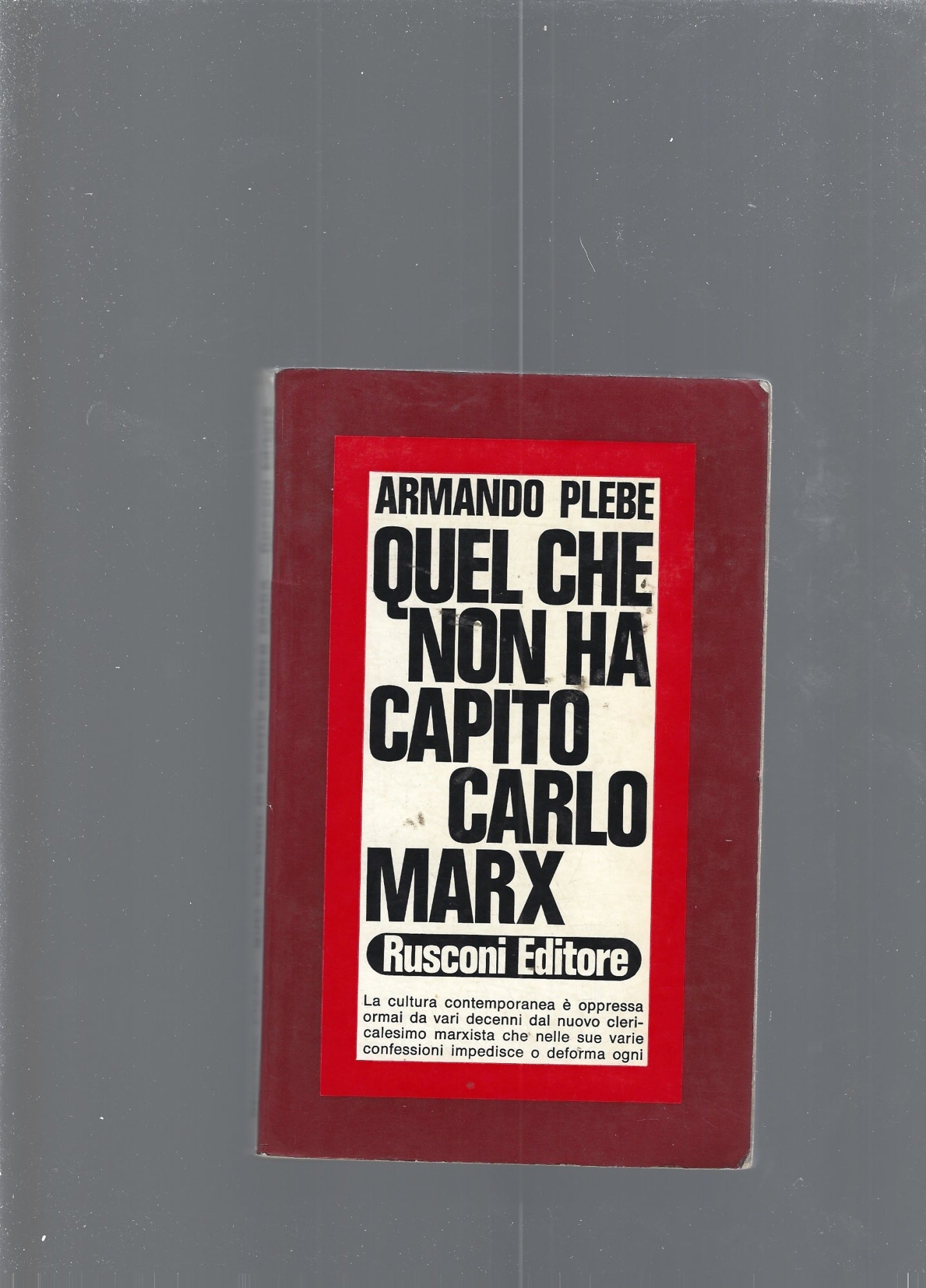 QUEL CHE NON HA CAPITO CARLO MARX - copertina