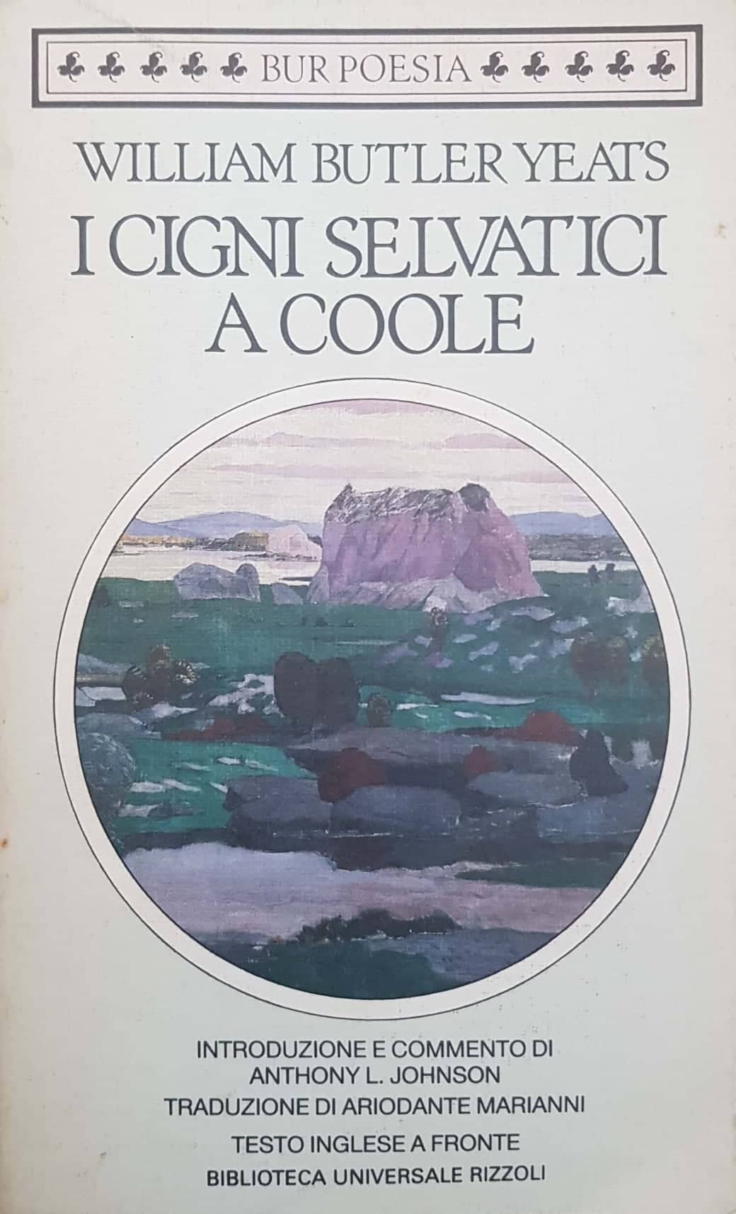 I cigni selvatici di Coole - copertina