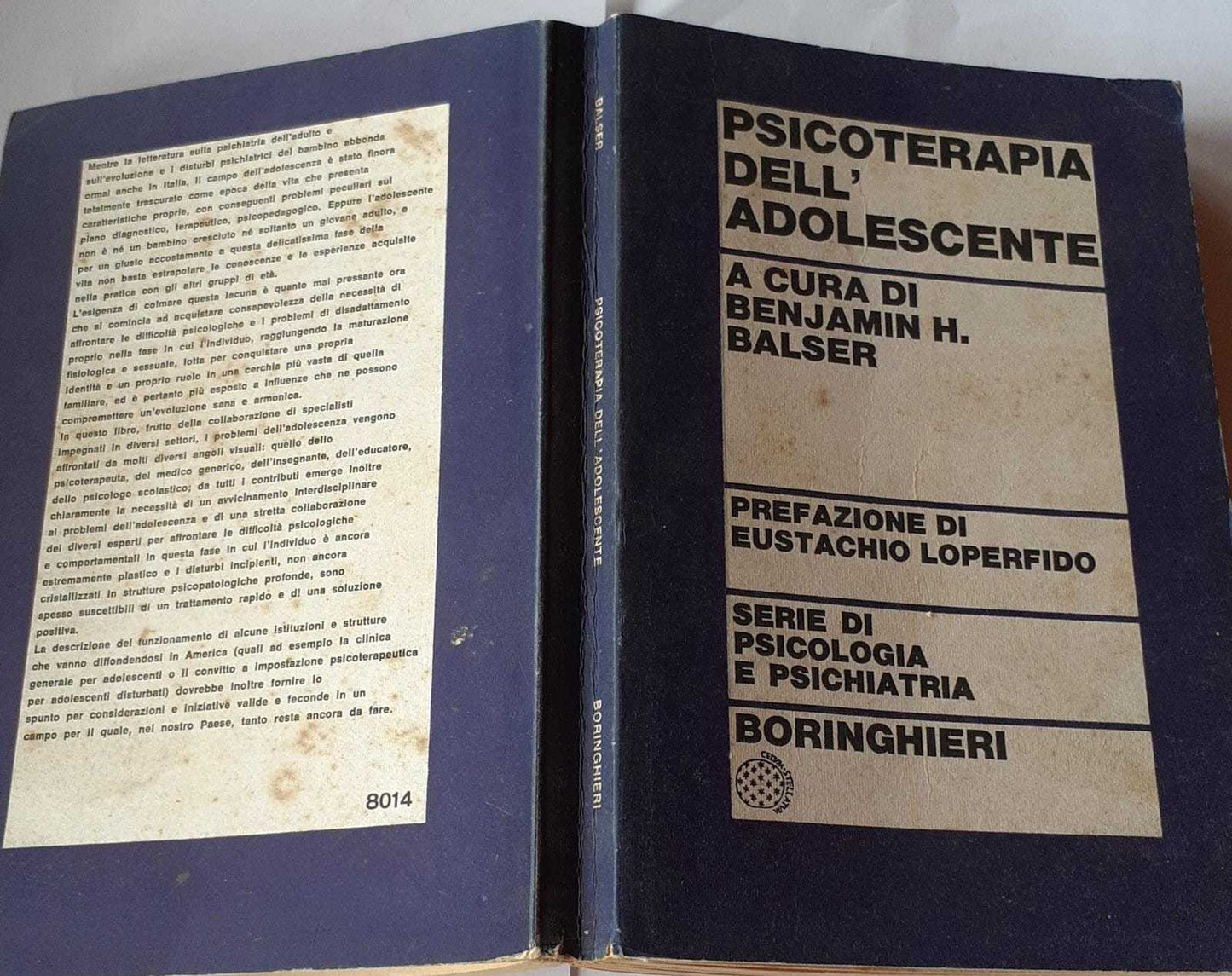 Psicoterapia dell'adolescente - copertina