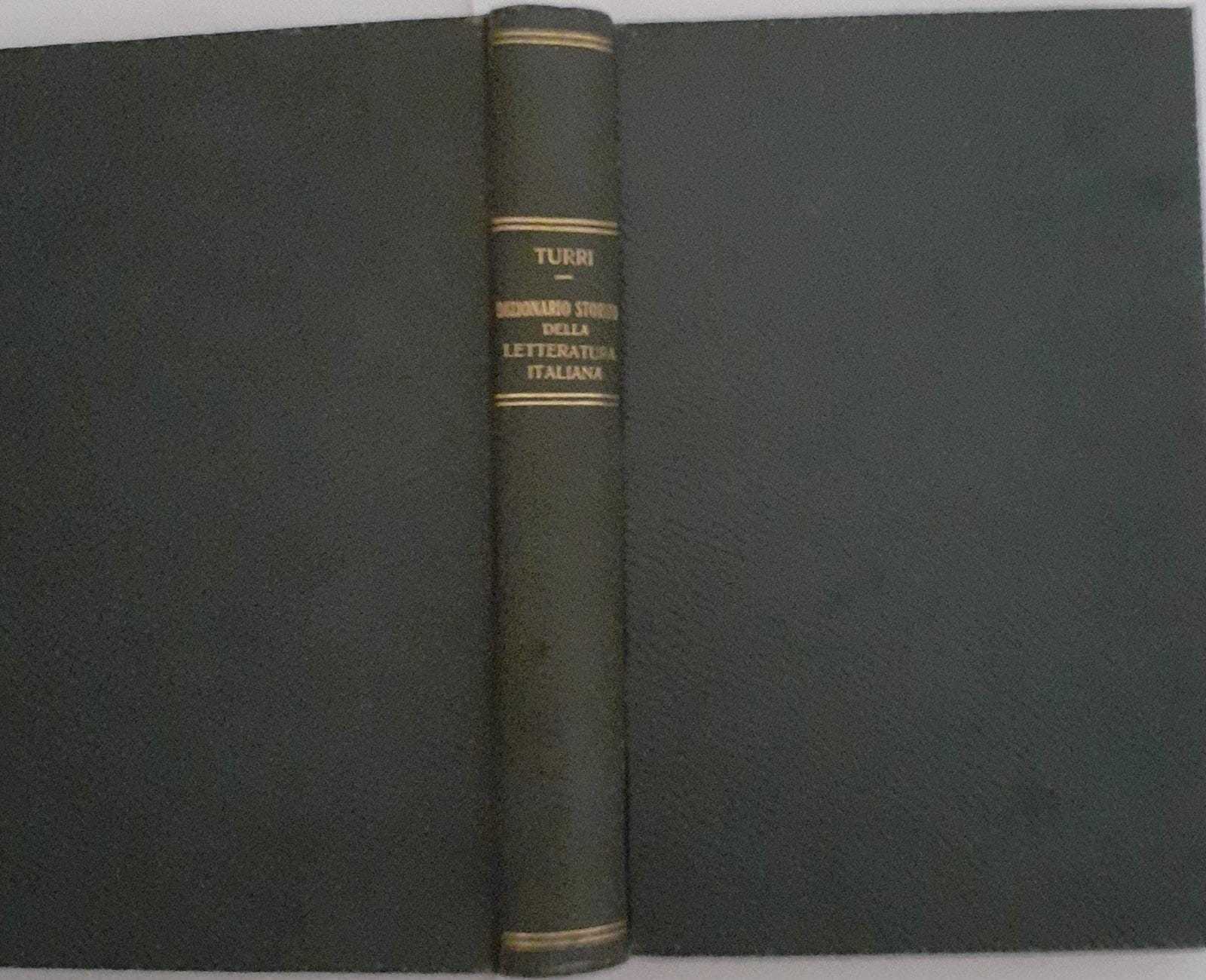 Dizionario storico manuale della letteratura italiana (1000-1900) - copertina