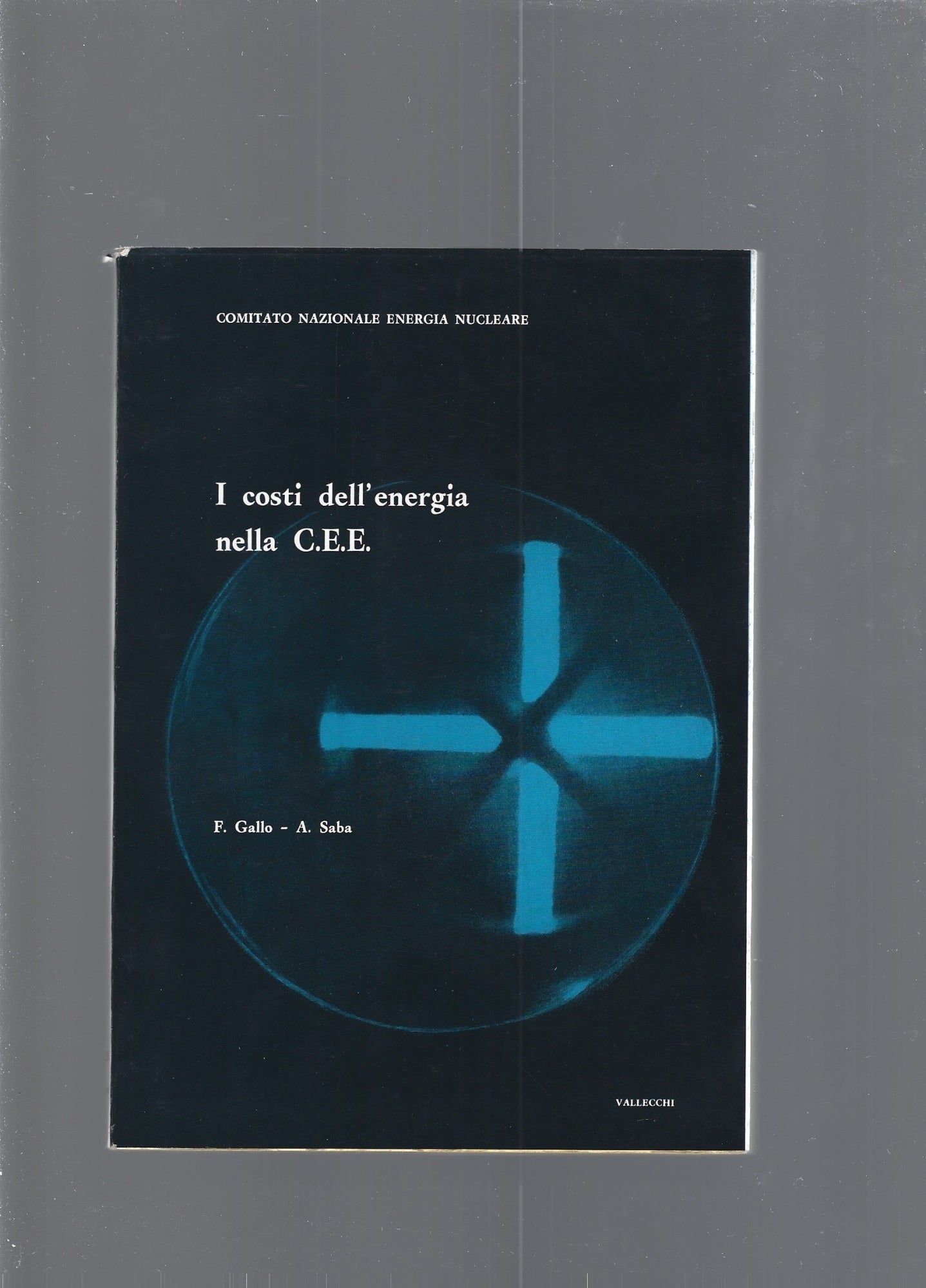 I COSTI DELL'ENERGIA NELLA C.E.E. - copertina