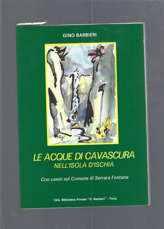 LE ACQUE DI CAVASCURA NELL'ISOLA D'ISCHIA - copertina