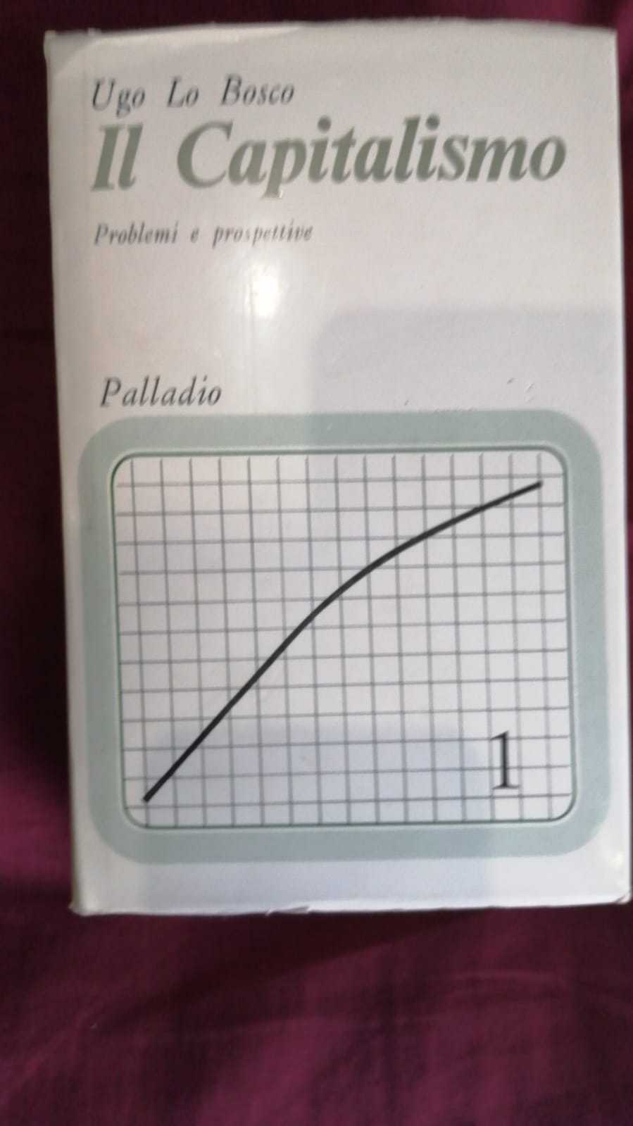 Il Capitalismo, 2 volumi. Vol. 1° :  Problemi e prospettive.  Vol. 2° :  Storia,degenerazioni e correttivi. - copertina