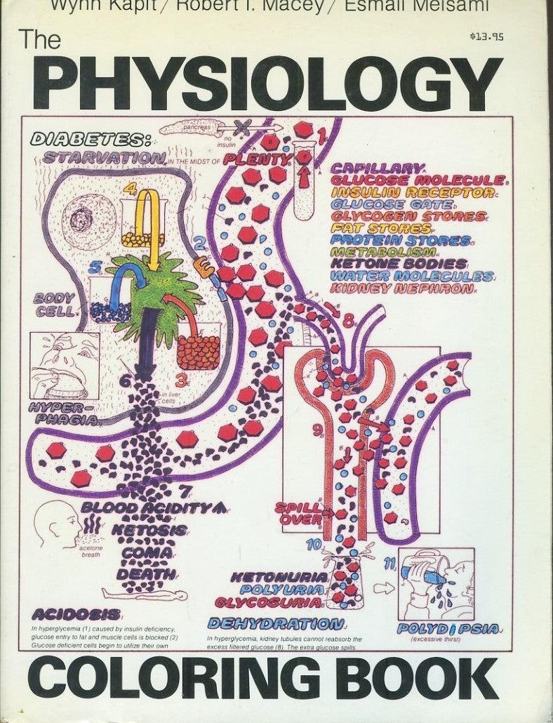 The Physiology Coloring Book - copertina