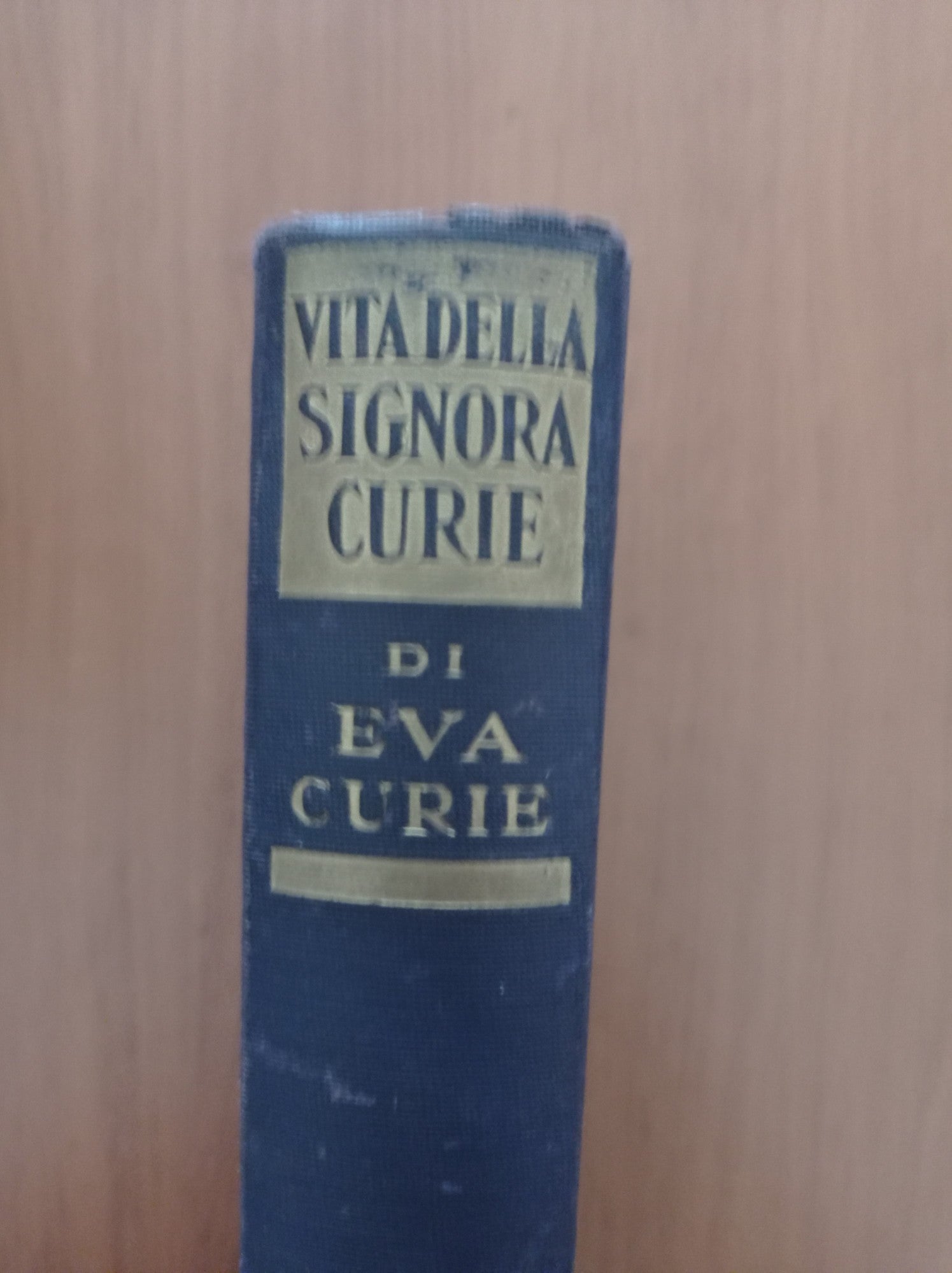 Vita della Signora Curie - copertina