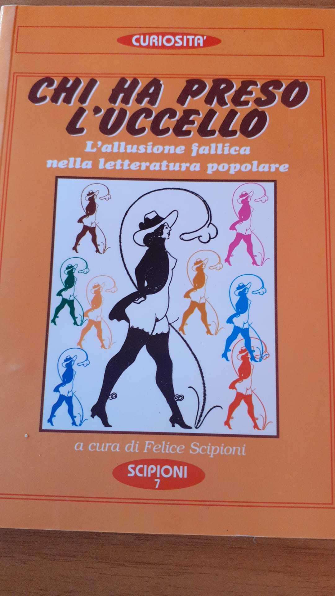 Chi ha preso l'uccello - copertina