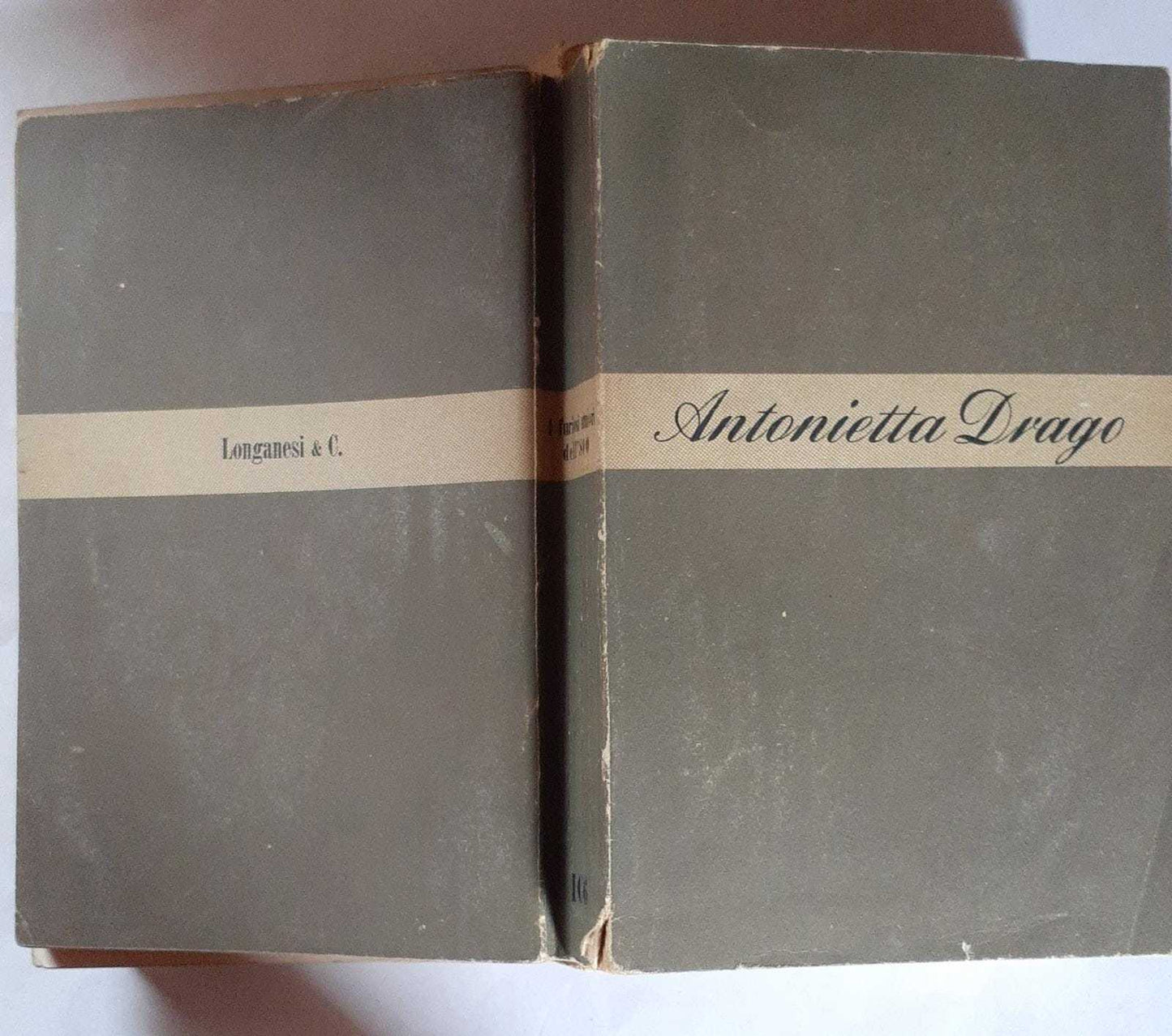 I furiosi amori dell'ottocento - copertina