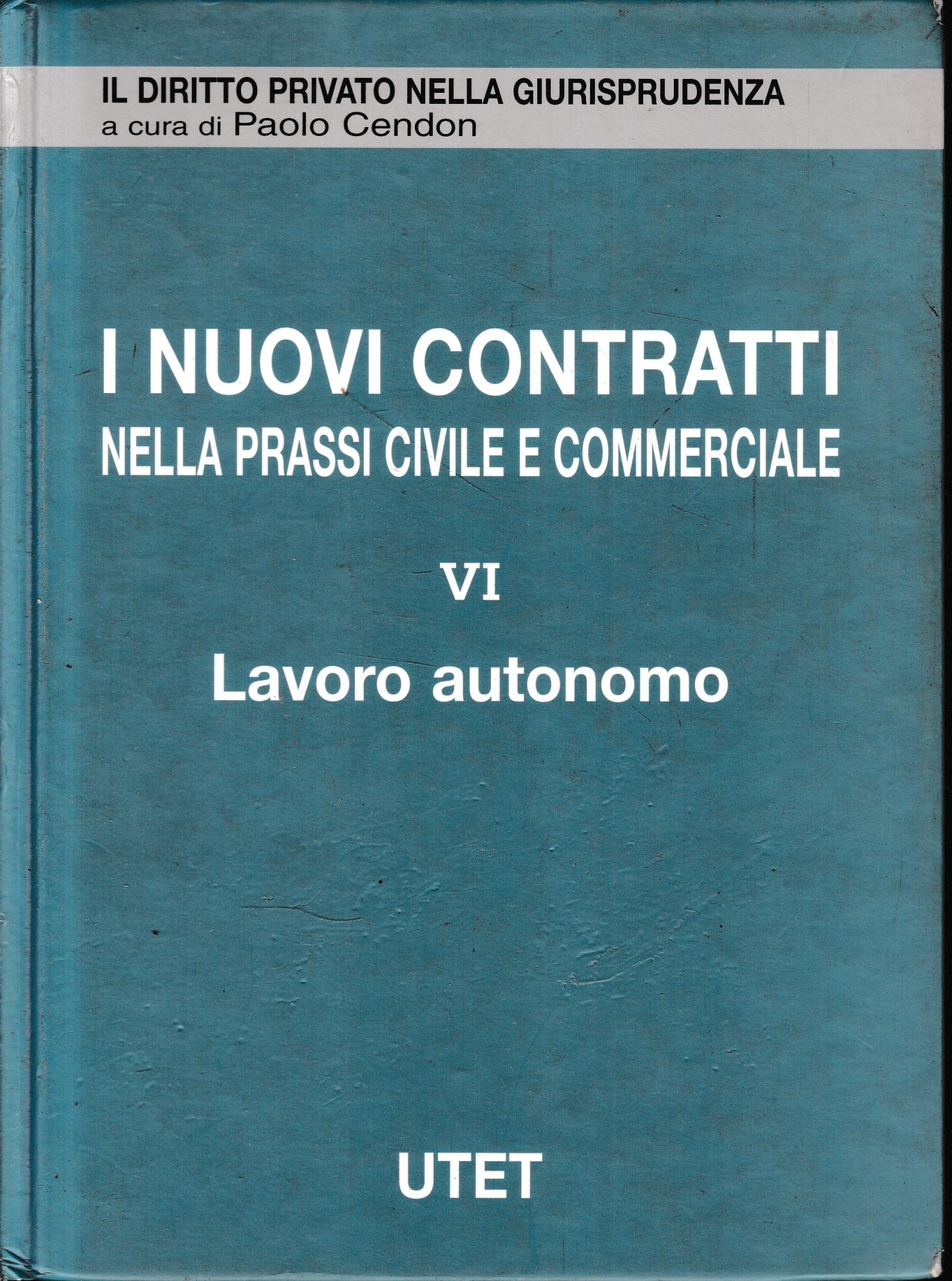 I nuovi contratti nella prassi civile e commerciale. Lavoro autonomo (Vol. 6) - copertina