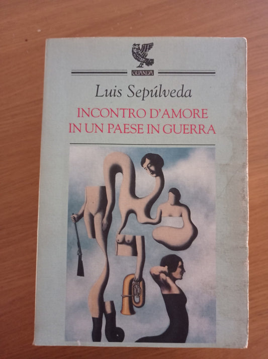 Incontro d'amore in un paese in guerra - copertina