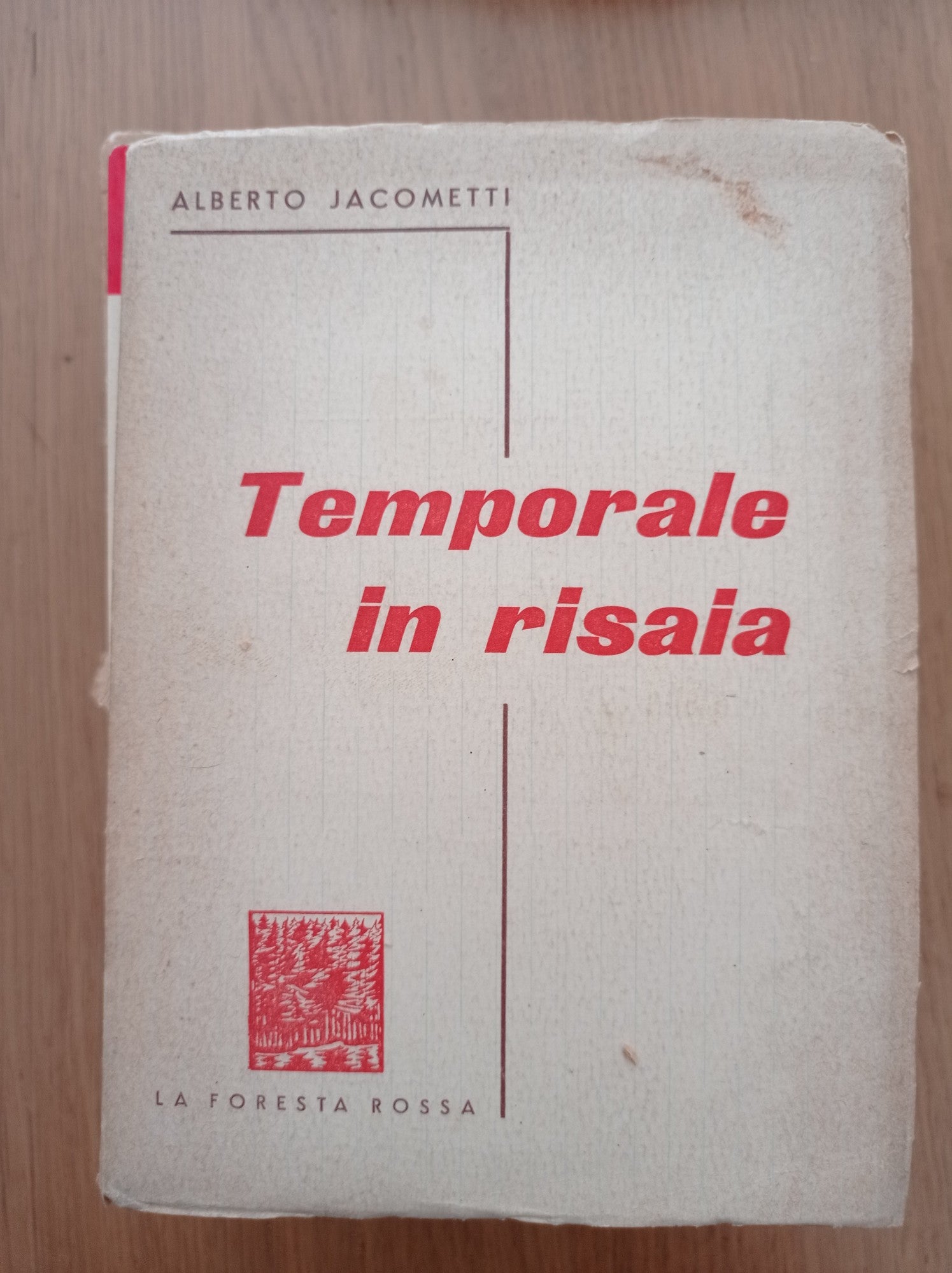 Temporale in risaia - copertina
