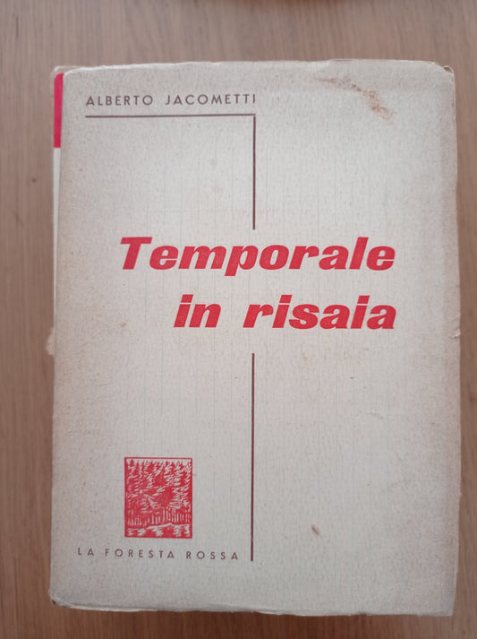 Temporale in risaia - copertina