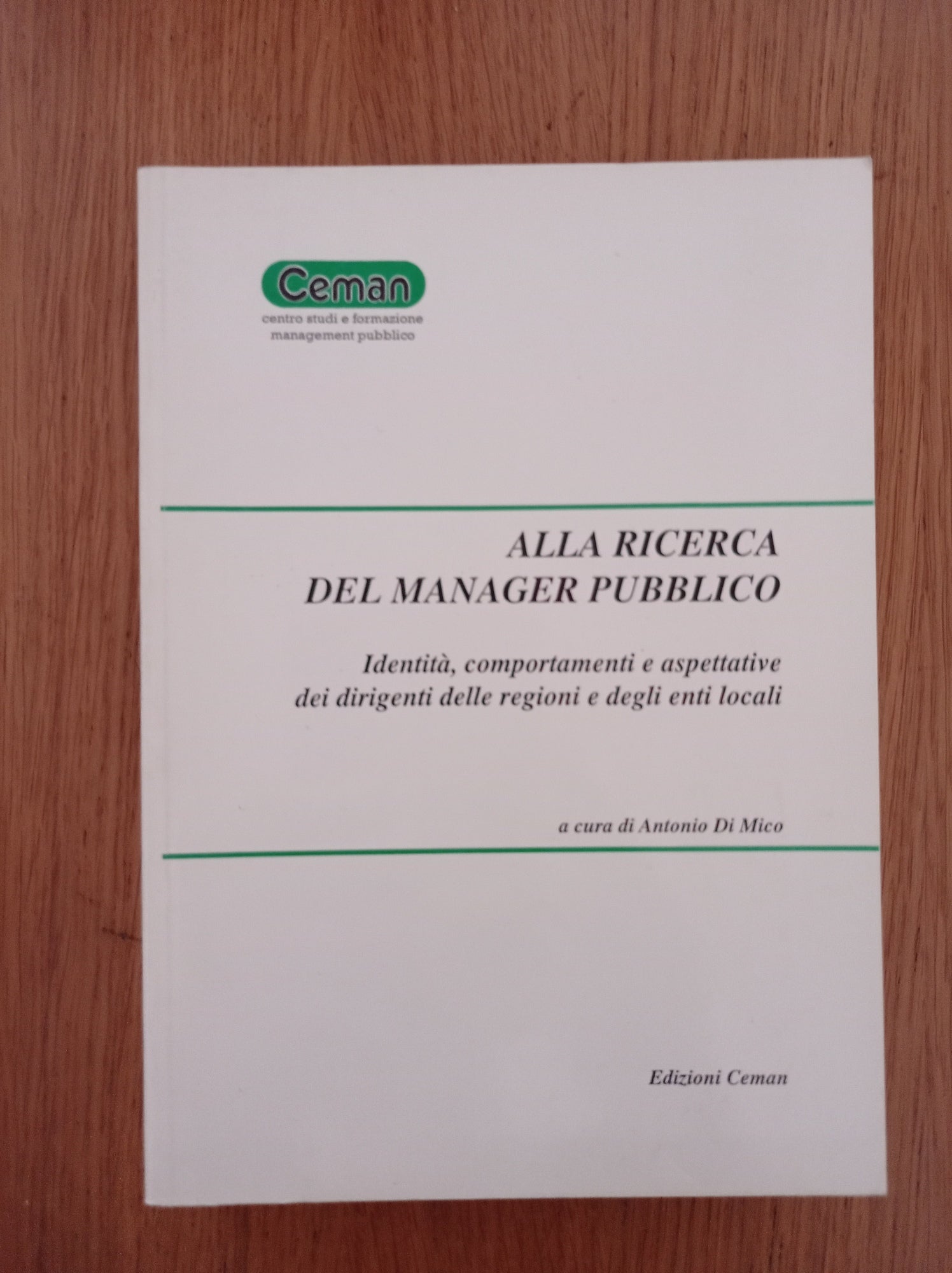 Alla ricerca del manager pubblico - copertina