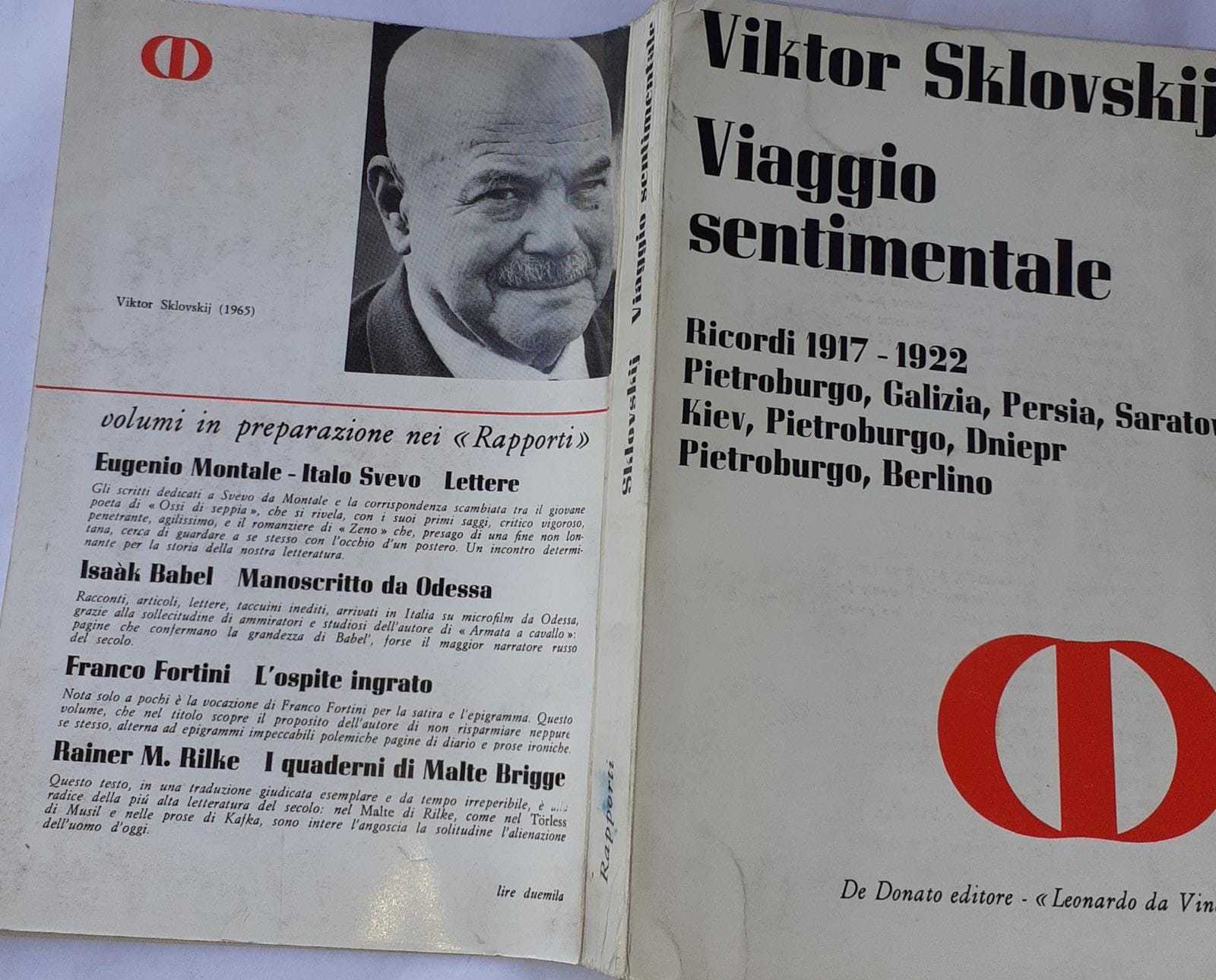 Viaggio sentimentale - copertina