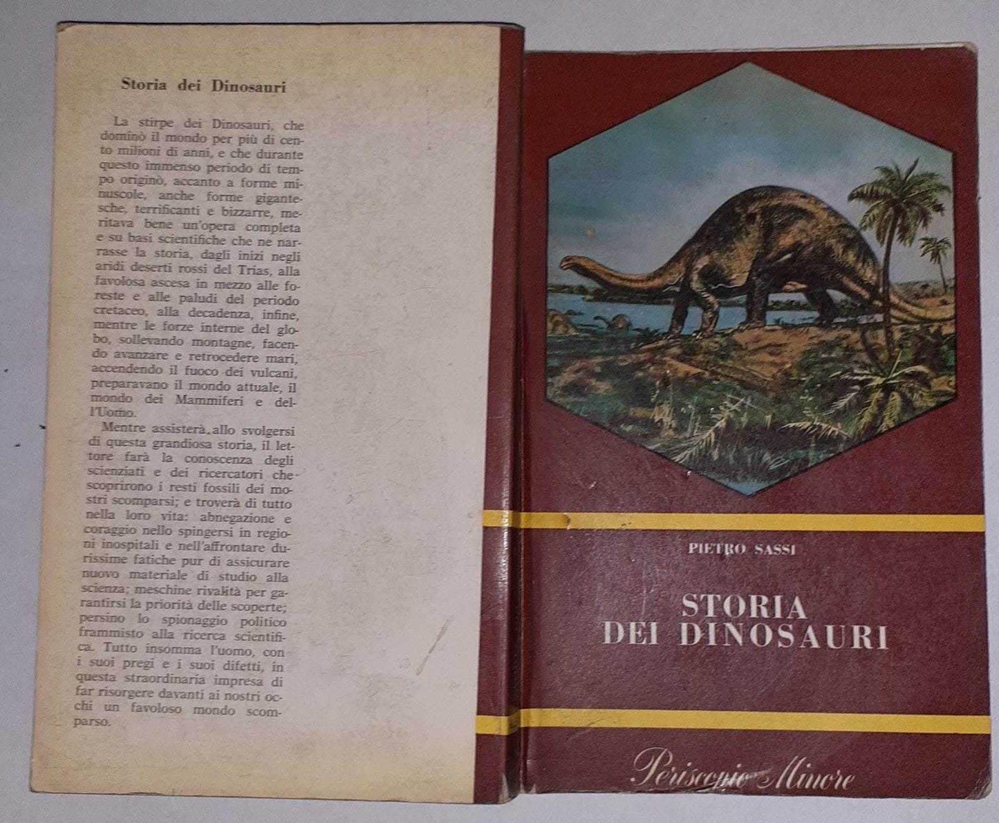 Storia dei dinosauri - copertina