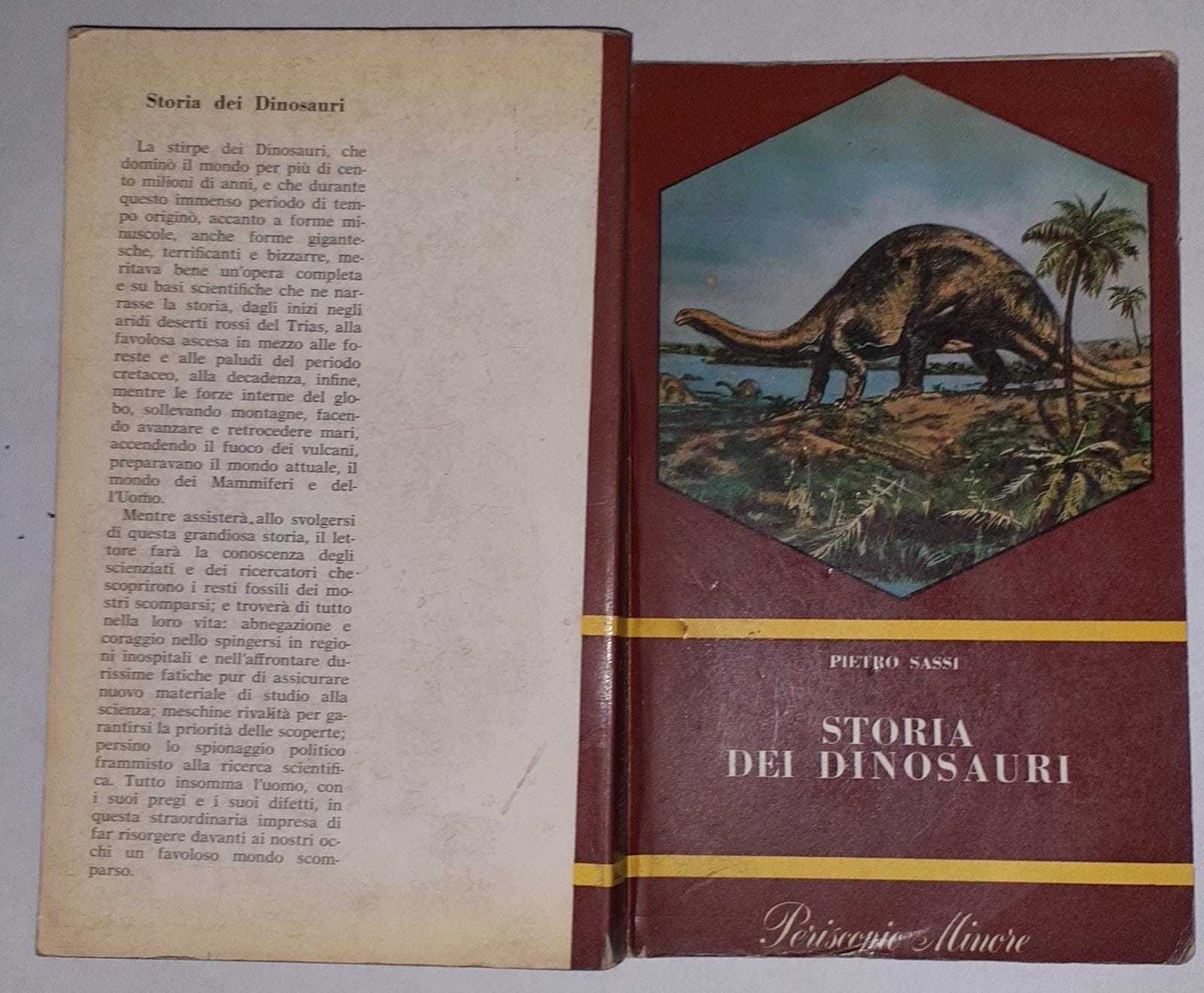 Storia dei dinosauri - copertina