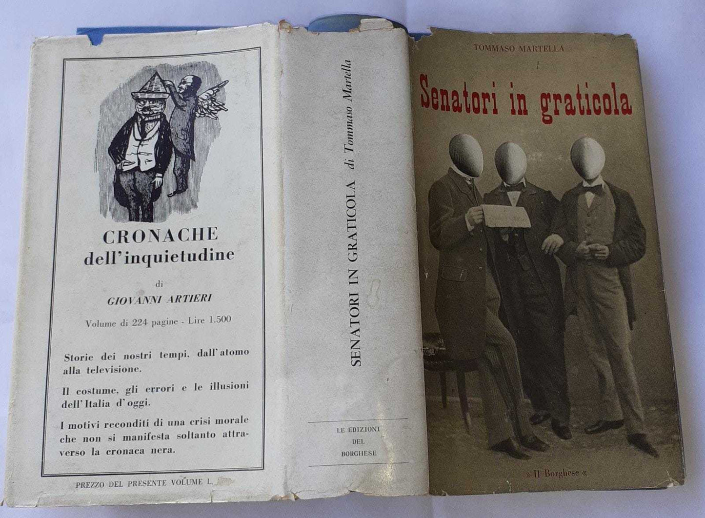 Senatori in graticola - copertina