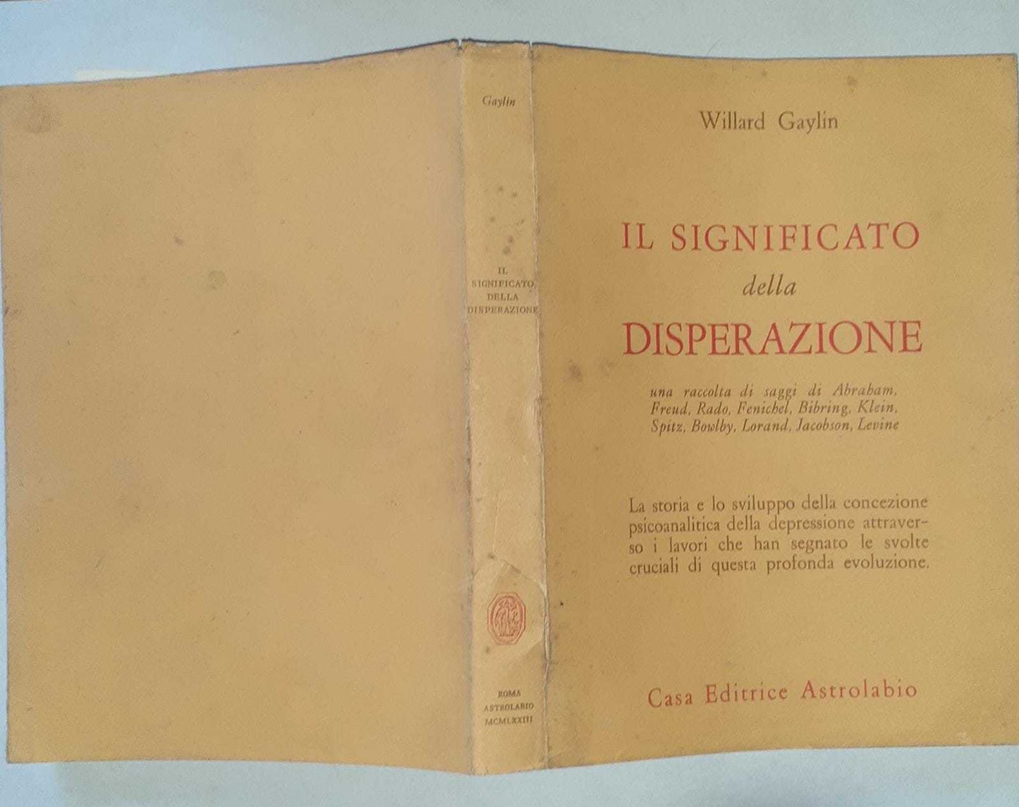 Il significato della disperazione - copertina