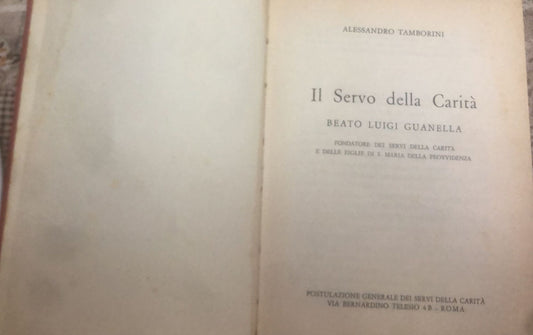 Il servo della carità - copertina
