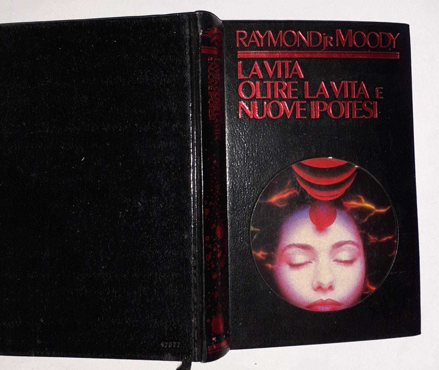 La vita oltre la vita e nuove ipotesi - copertina