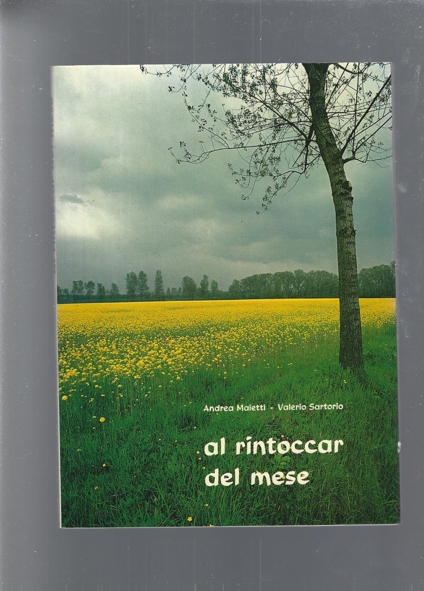 AL RINTOCCAR DEL MESE - copertina