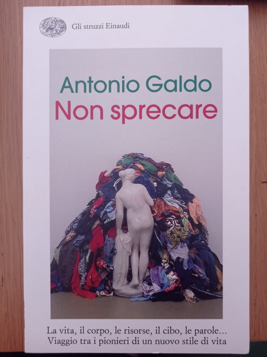 Non sprecare - copertina