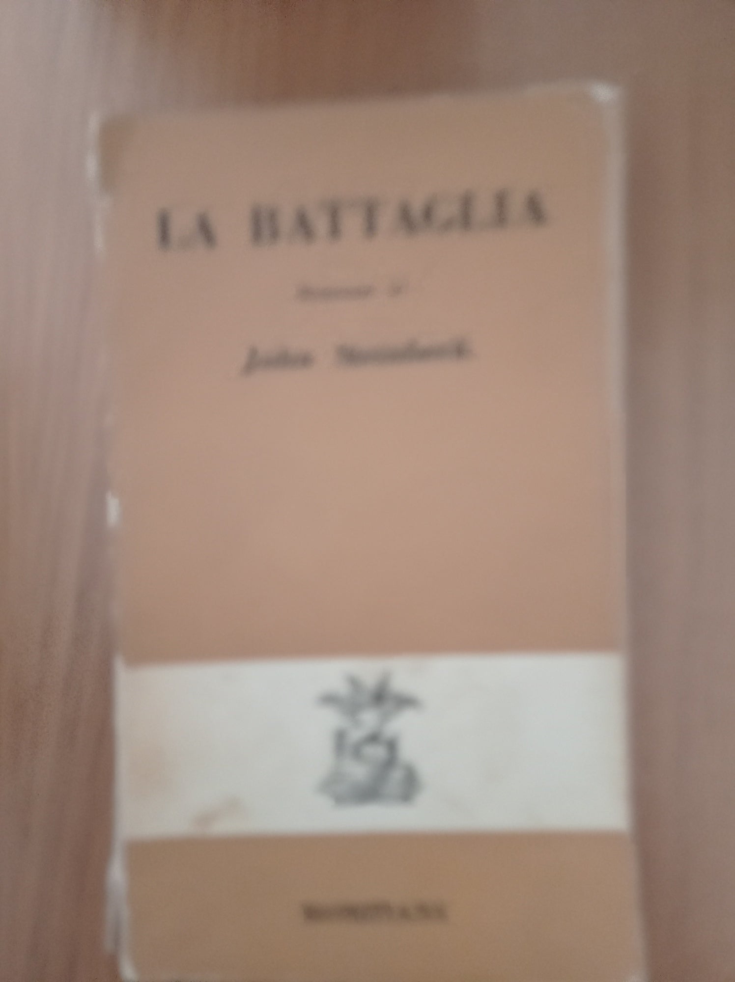 La battaglia - copertina