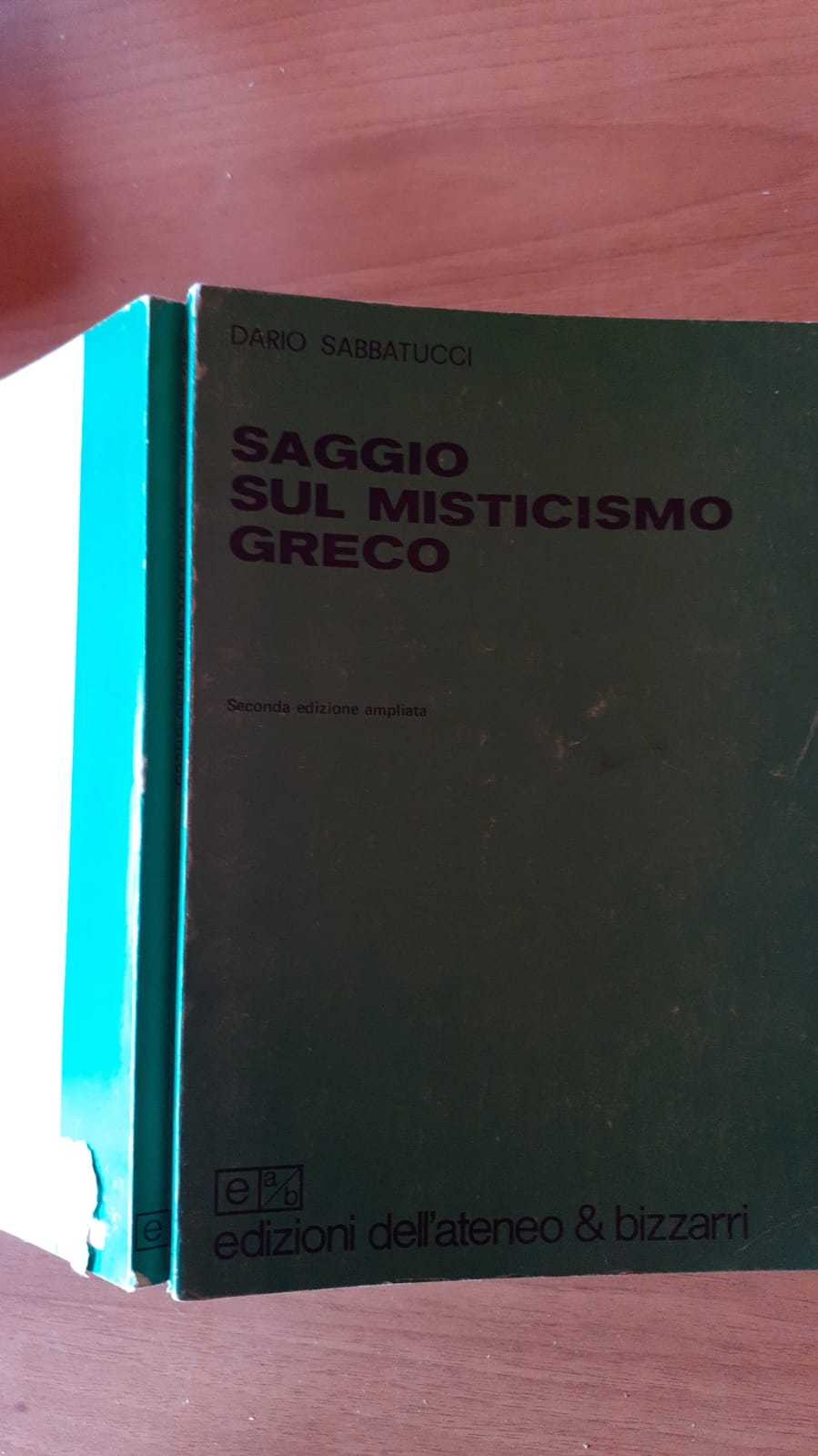 Saggi sul Puer - copertina