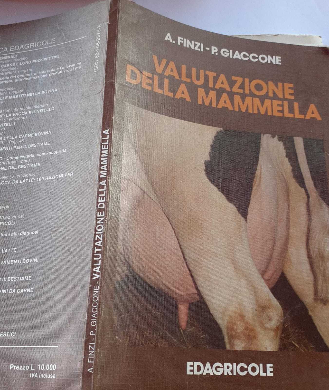 Valutazione della mammella - copertina