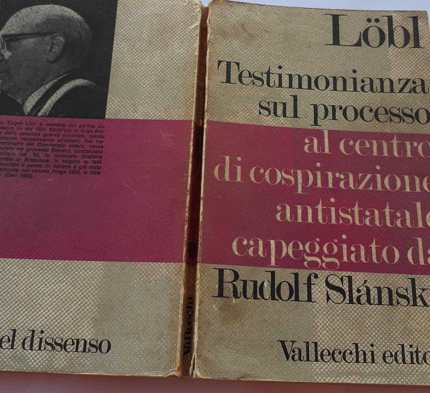 Testimonianza sul processo al centro di cospirazione antistatale capeggiata da Rudolf Slanksy - copertina