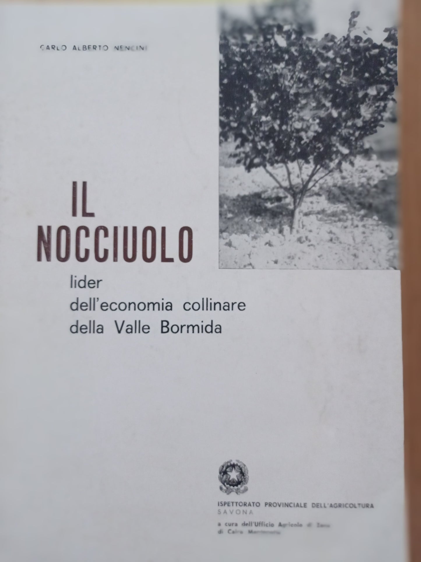 Il nocciuolo - copertina