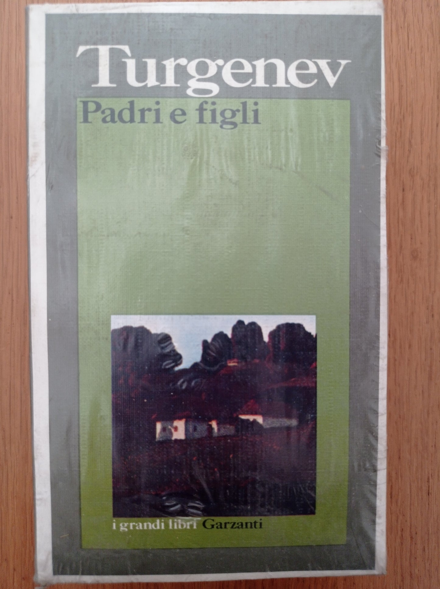 Padri e figli - copertina